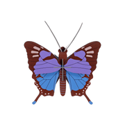 Studio Roof Decorazione parete Crysalus Butterfly