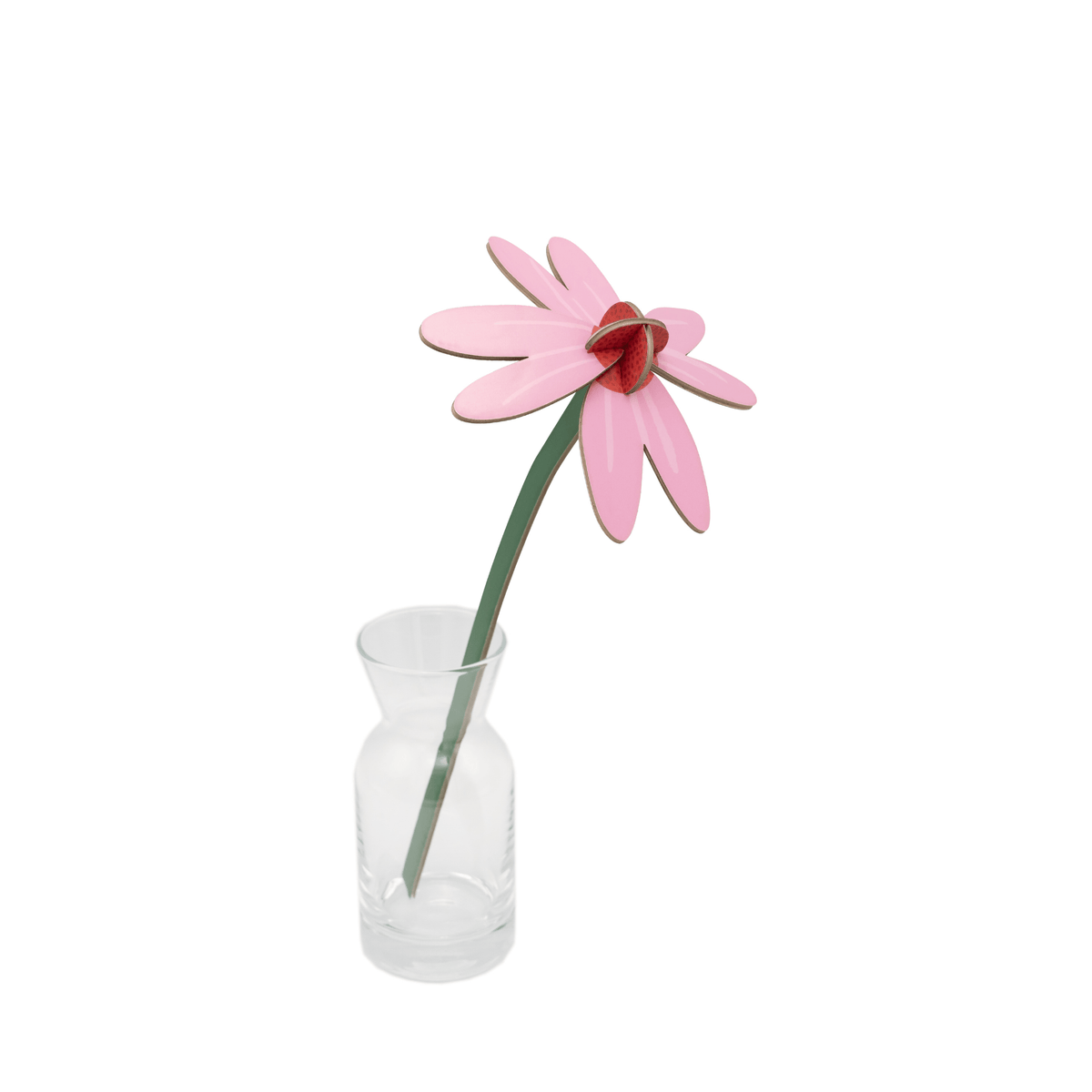 Studio Roof Decorazione parete Everlasting Flower Small - Pink Coneflower