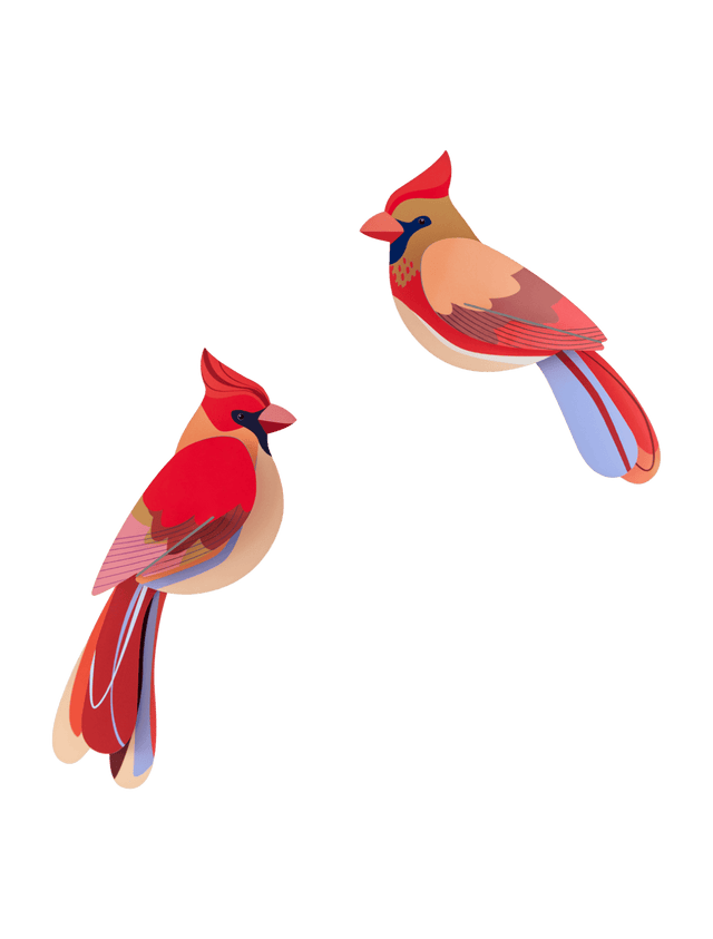 Studio Roof Decorazione parete Garden Bird - Cardinals