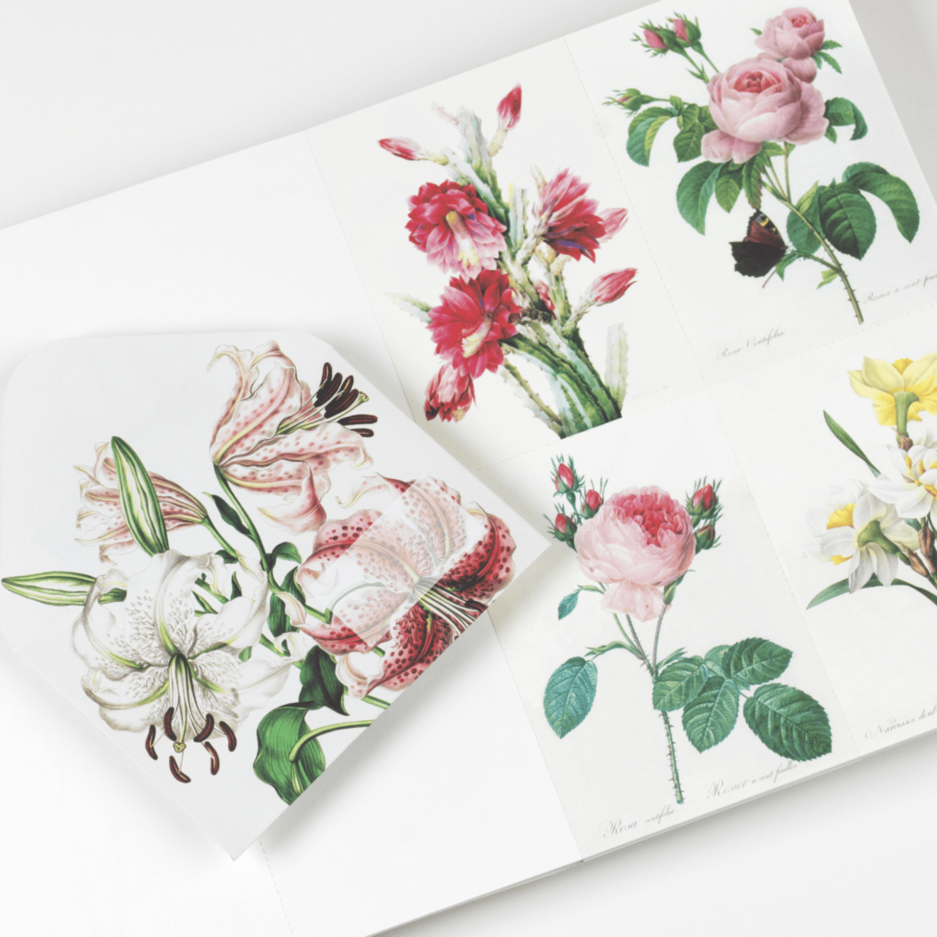 Pepin Press DIY Creative Paper Book - Flowers