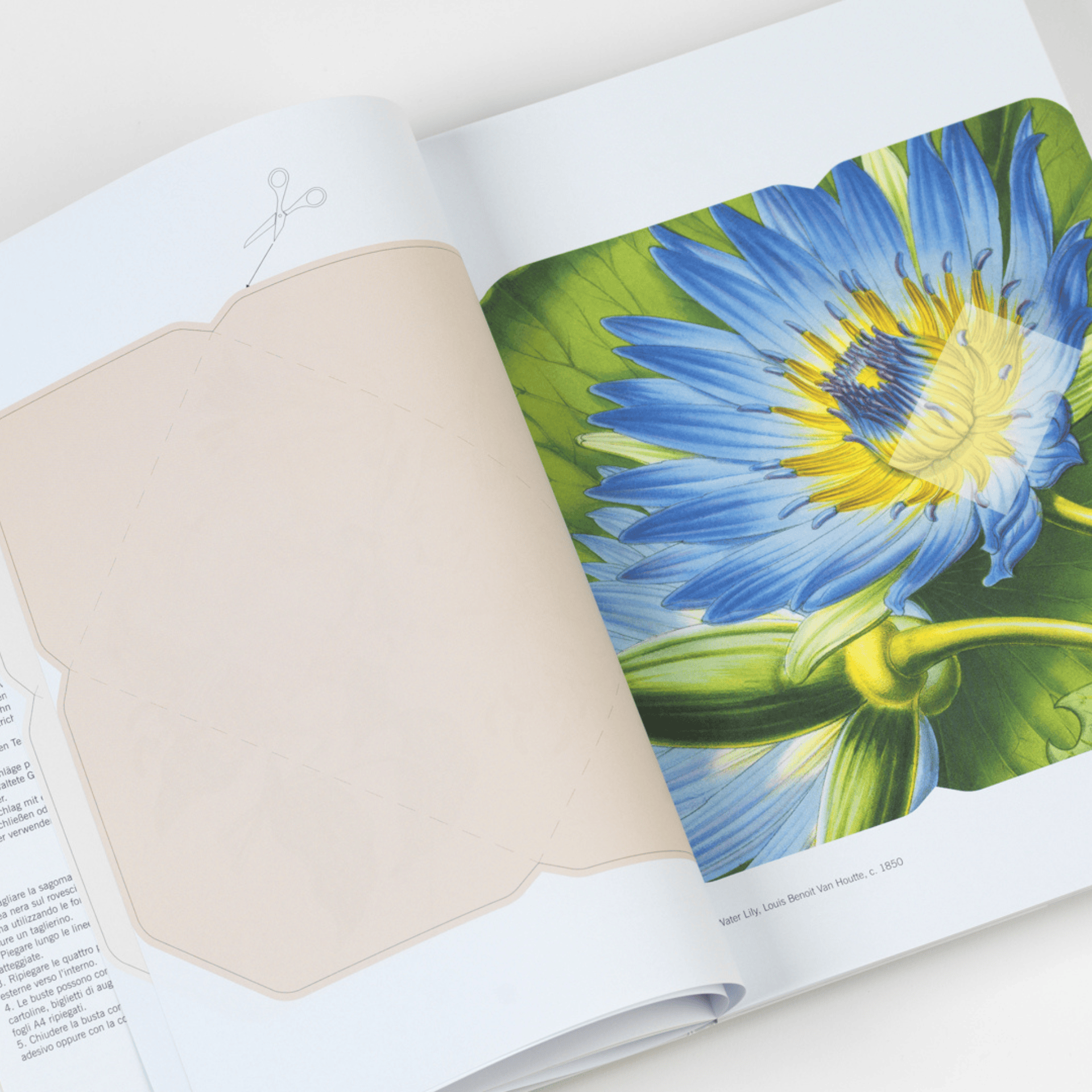 Pepin Press DIY Creative Paper Book - Flowers