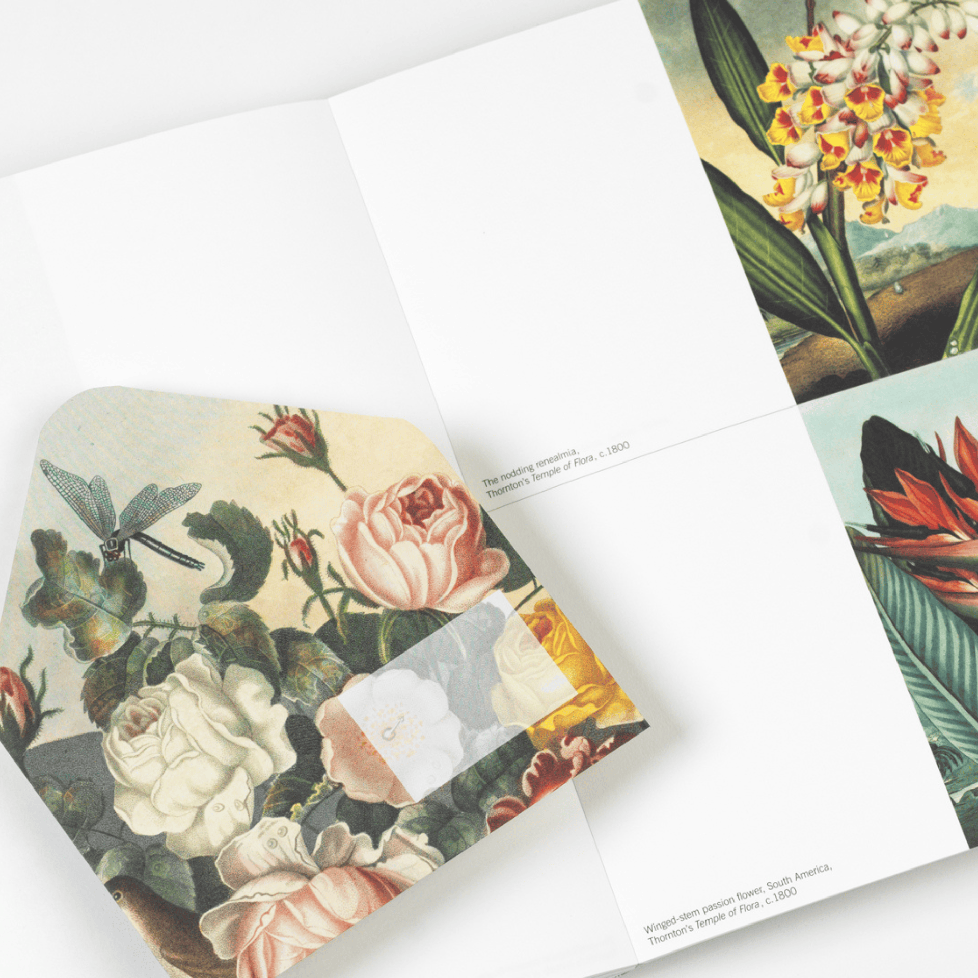 Pepin Press DIY Creative Paper Book - Flowers