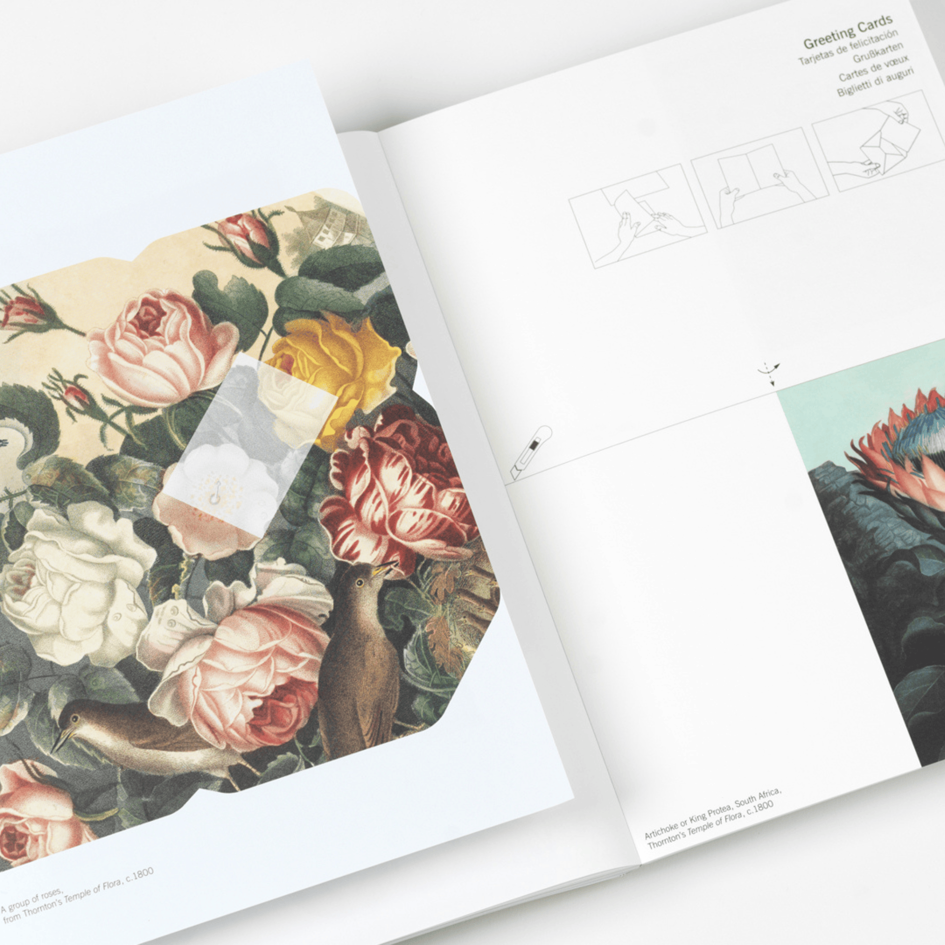 Pepin Press DIY Creative Paper Book - Flowers