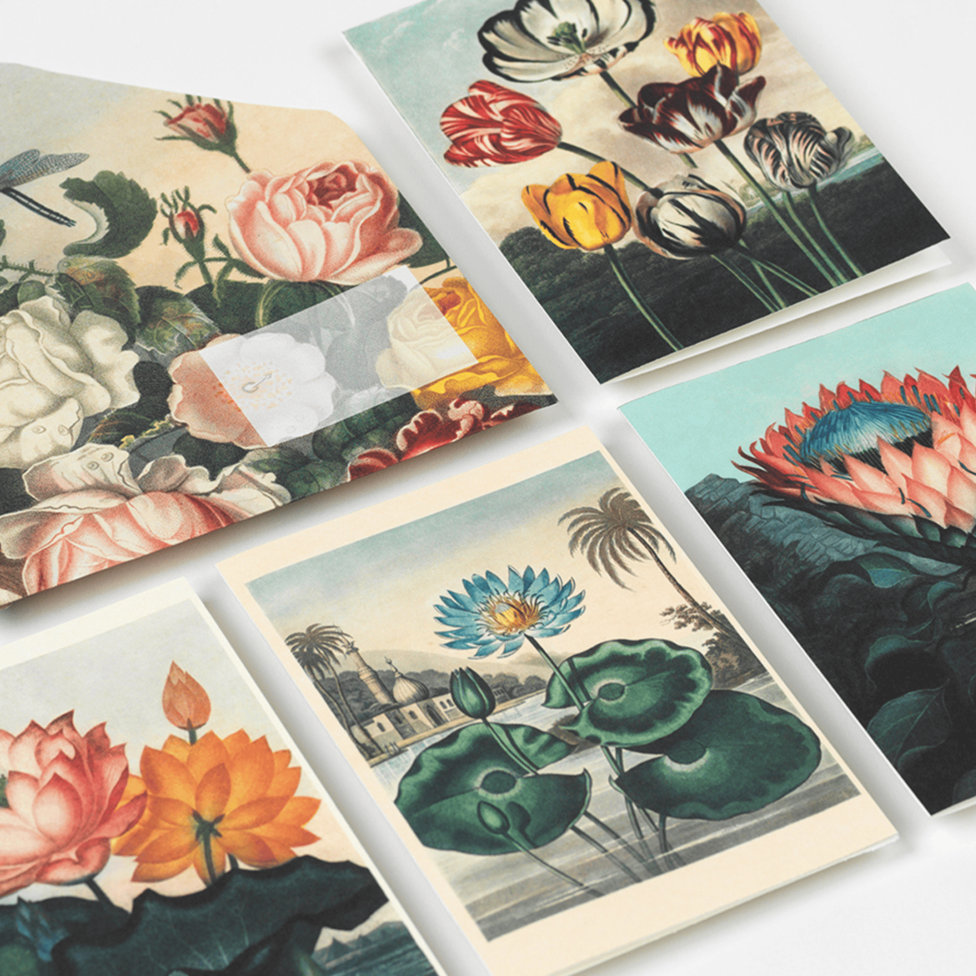 Pepin Press DIY Creative Paper Book - Flowers