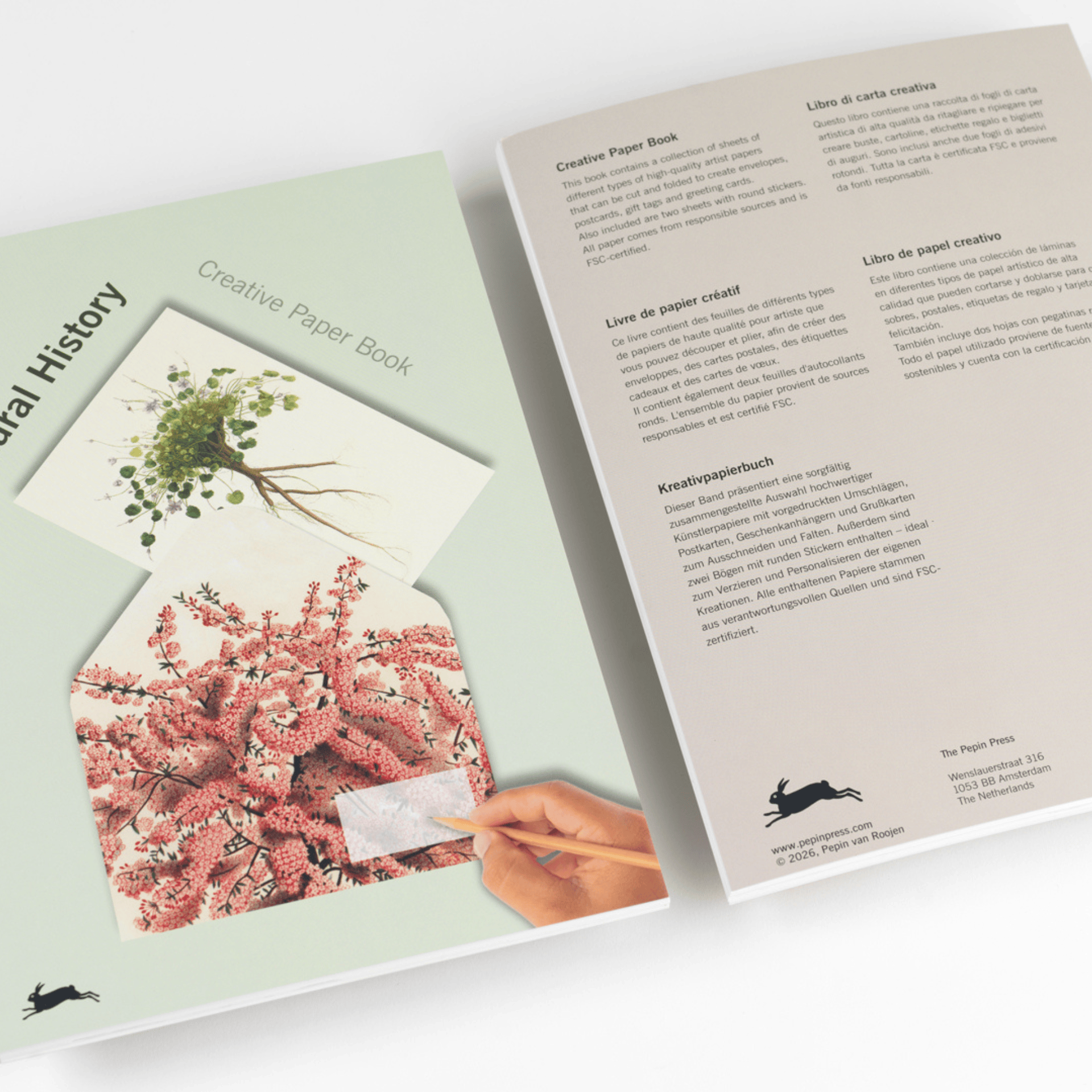 Pepin Press DIY Creative Paper Book - Natural History