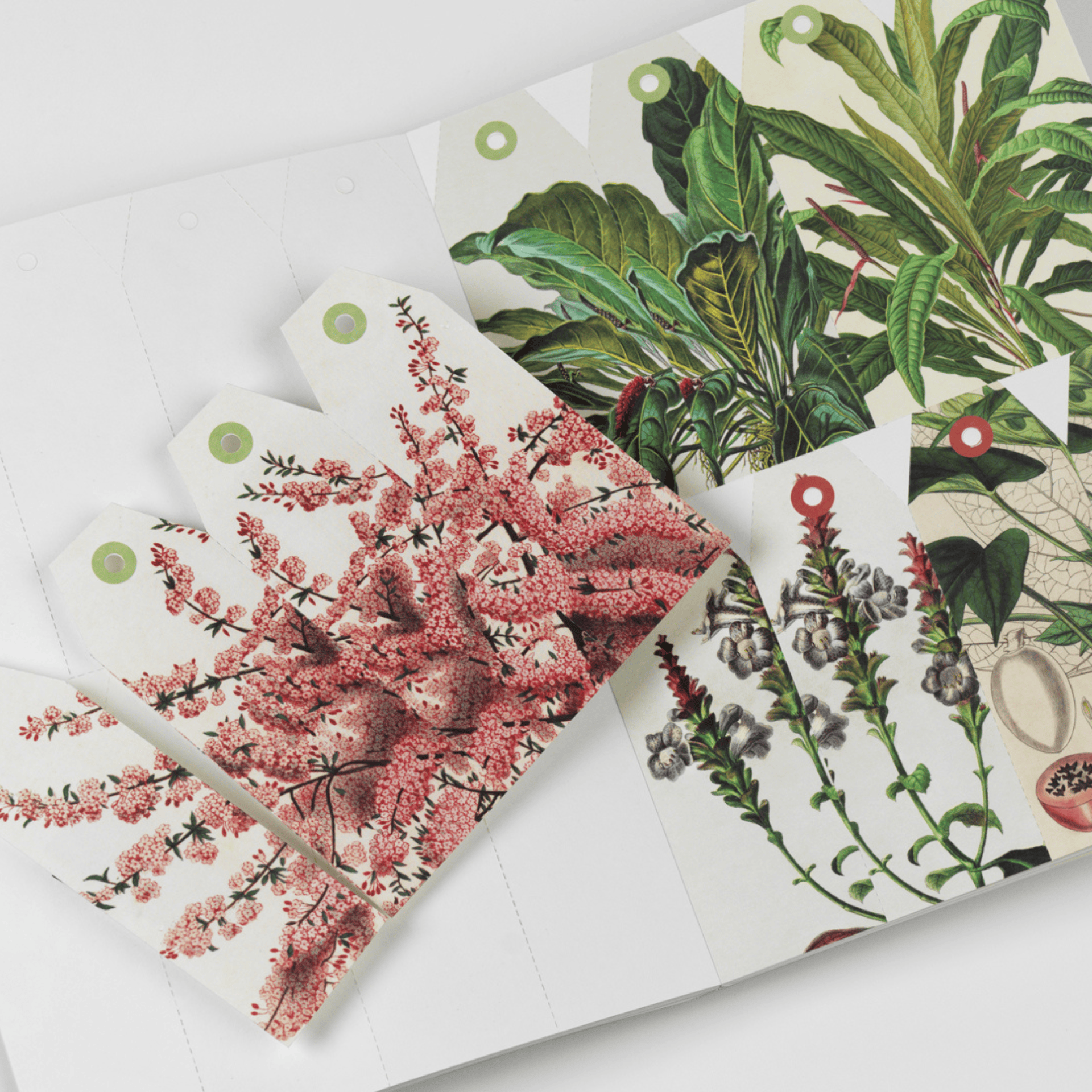 Pepin Press DIY Creative Paper Book - Natural History