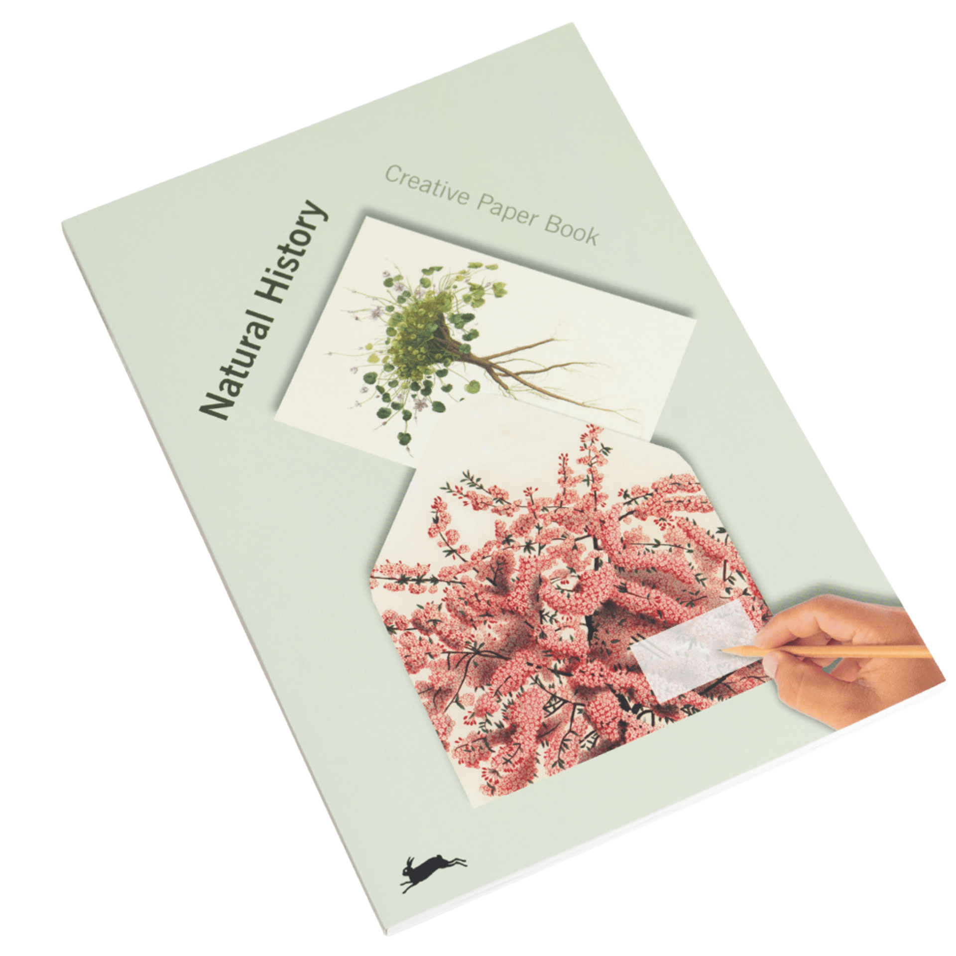 Pepin Press DIY Creative Paper Book - Natural History