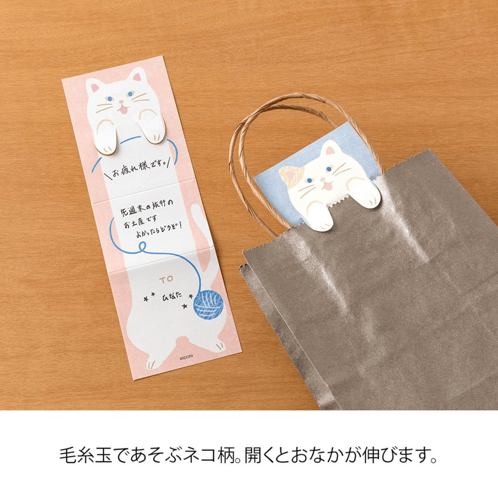 Midori Notes Memo Stretchy Cat