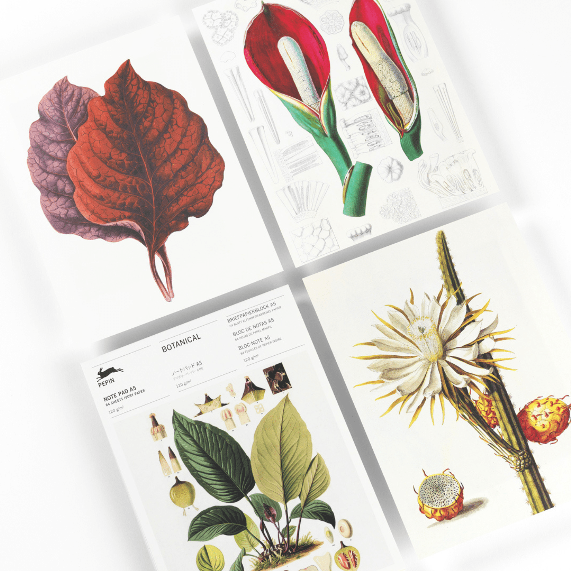 Pepin Press Notes Note Pad A5 - Botanical