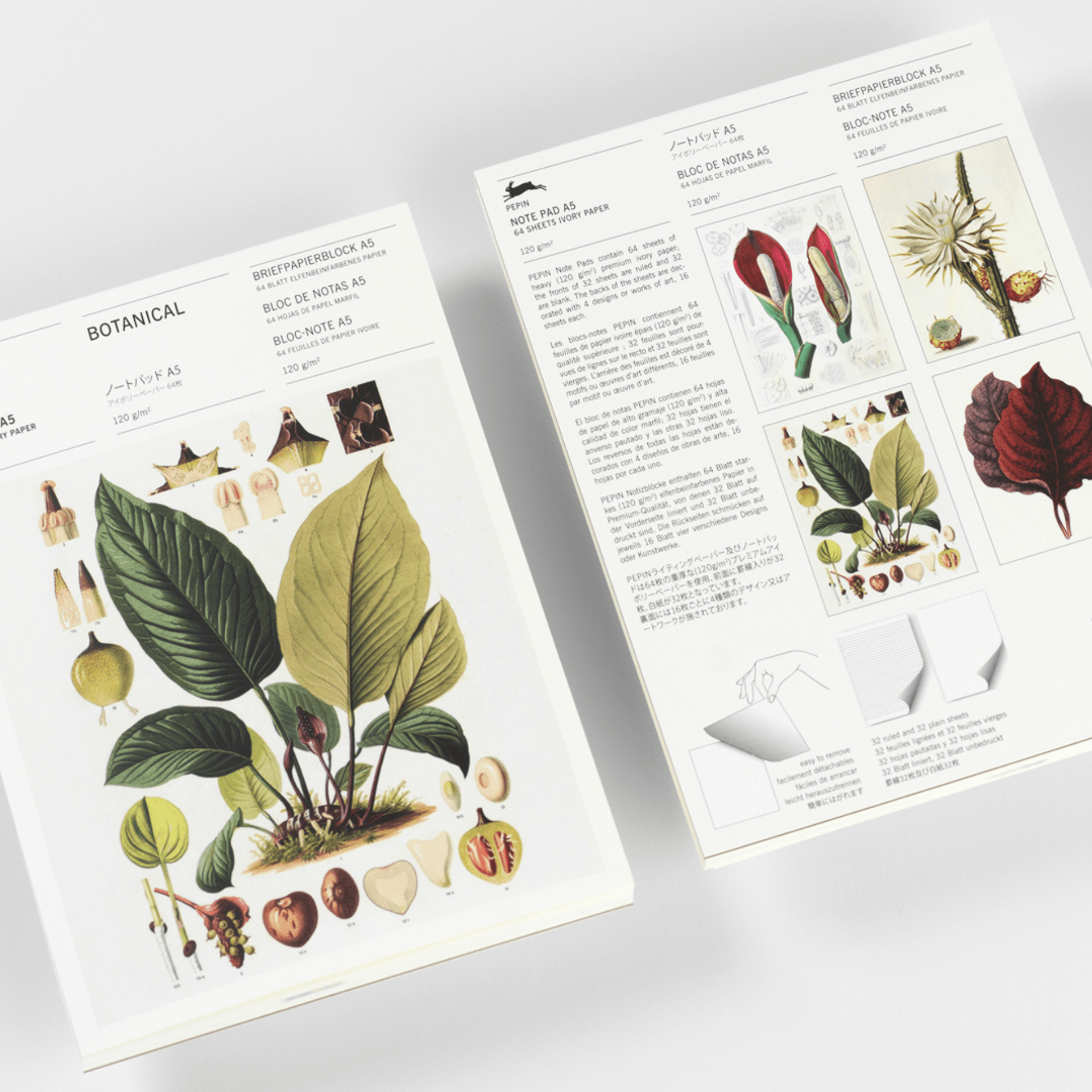 Pepin Press Notes Note Pad A5 - Botanical