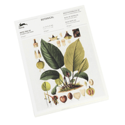 Pepin Press Notes Note Pad A5 - Botanical