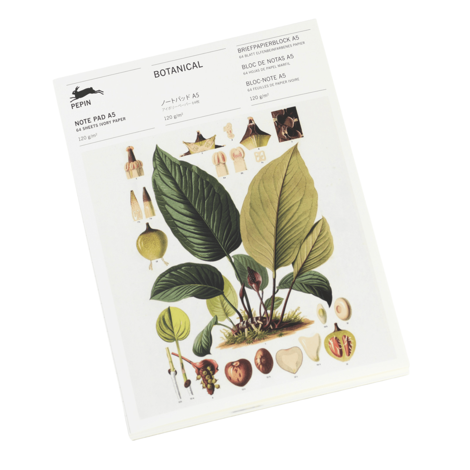 Pepin Press Notes Note Pad A5 - Botanical