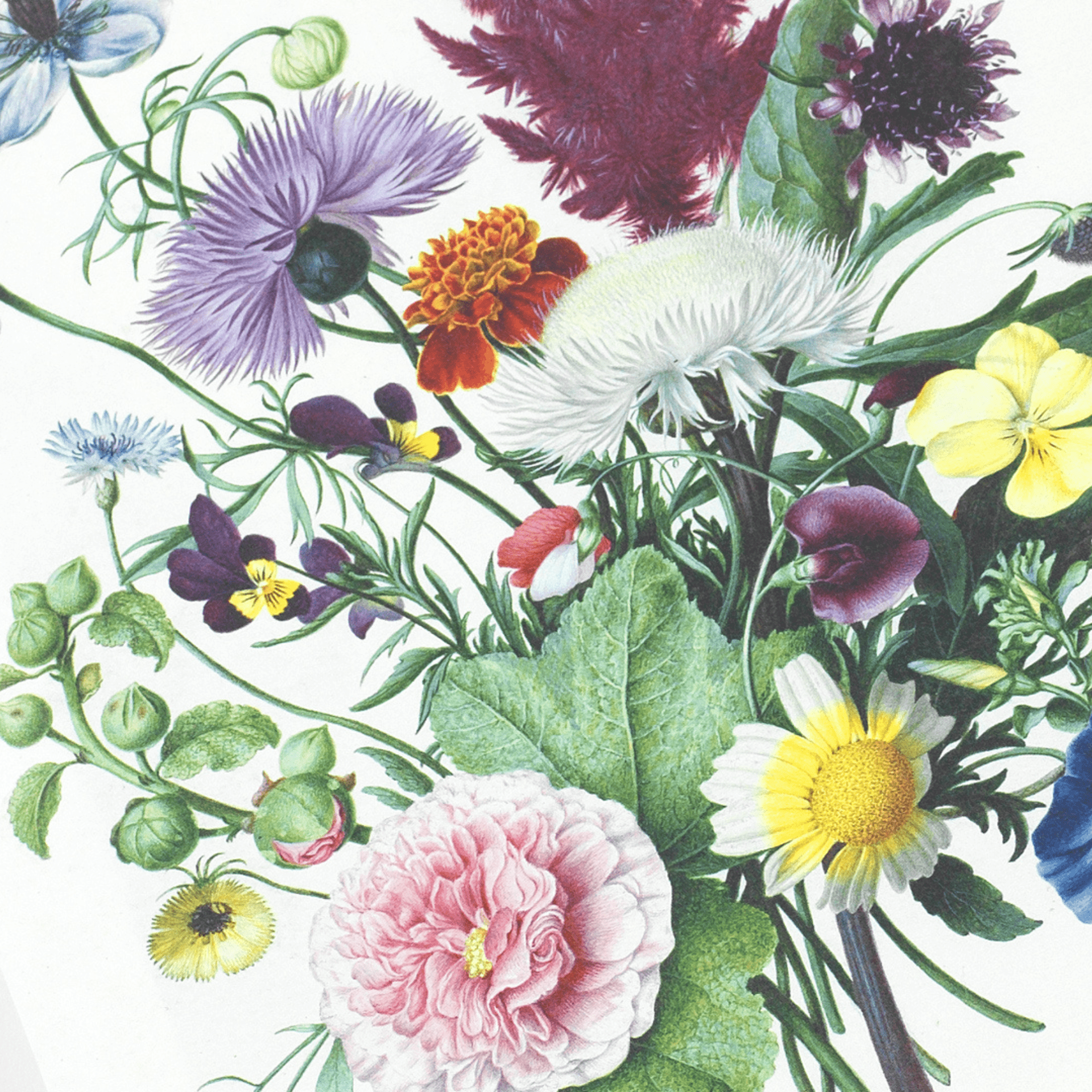 Pepin Press Notes Note Pad A5 - Bouquets