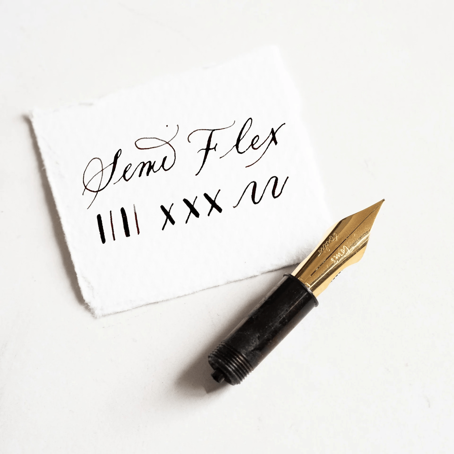 Tom's Studio Penne EF - EXTRA FINE SEMI-FLEX The Studio - Pennini per stilografica