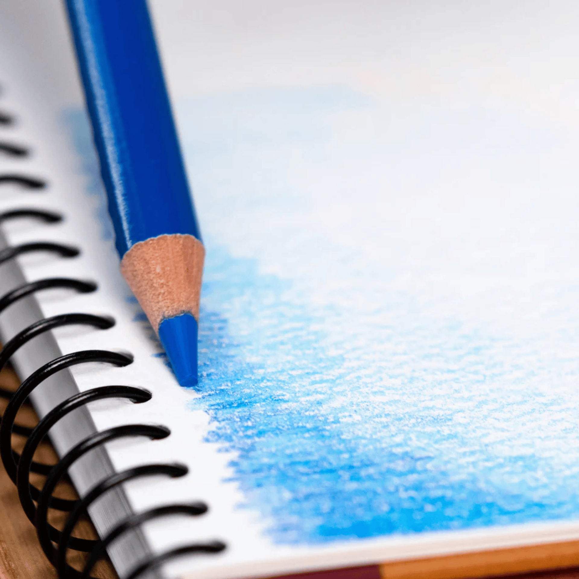 Mitsubishi Pencil Pittura Set Matite Colorate Polycolor