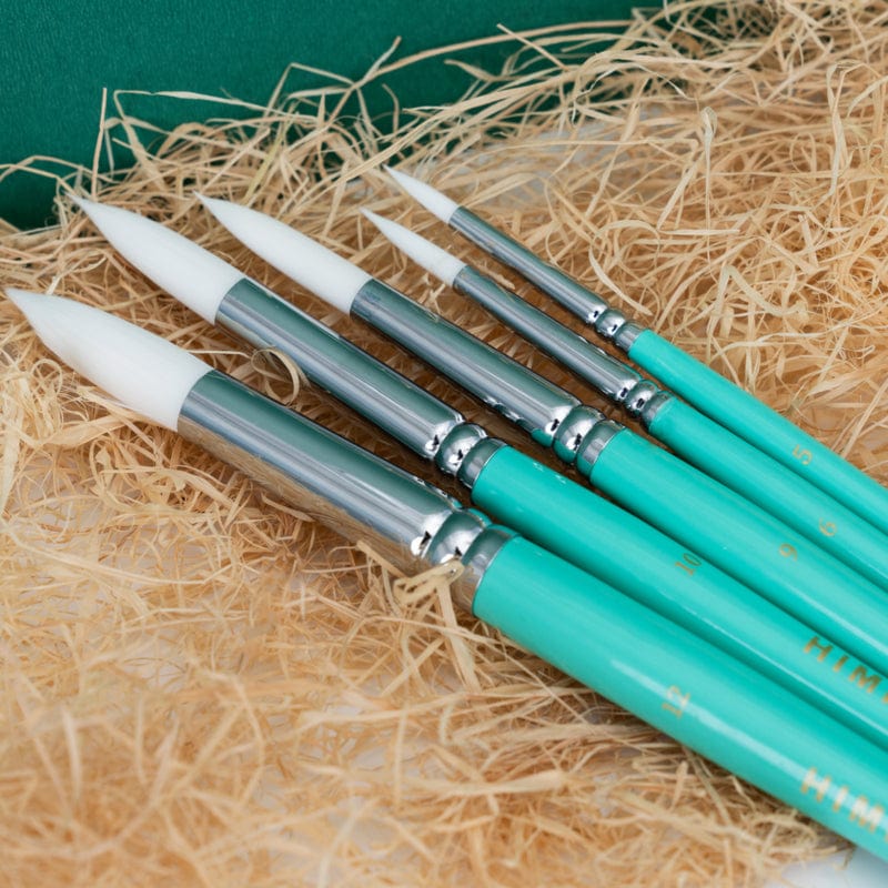 Himi Pittura Set pennelli Himi
