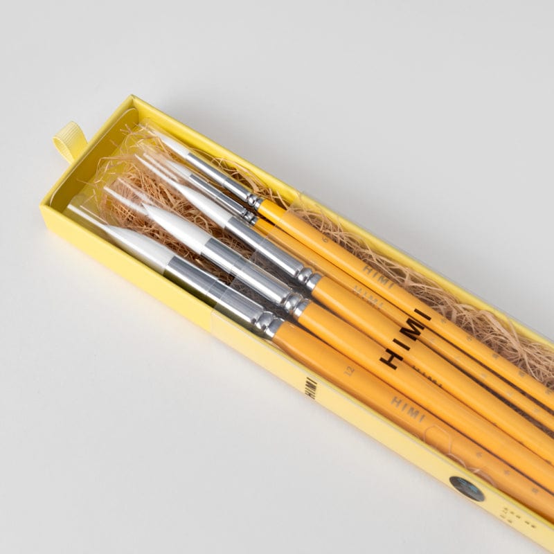 Himi Pittura Set pennelli Himi