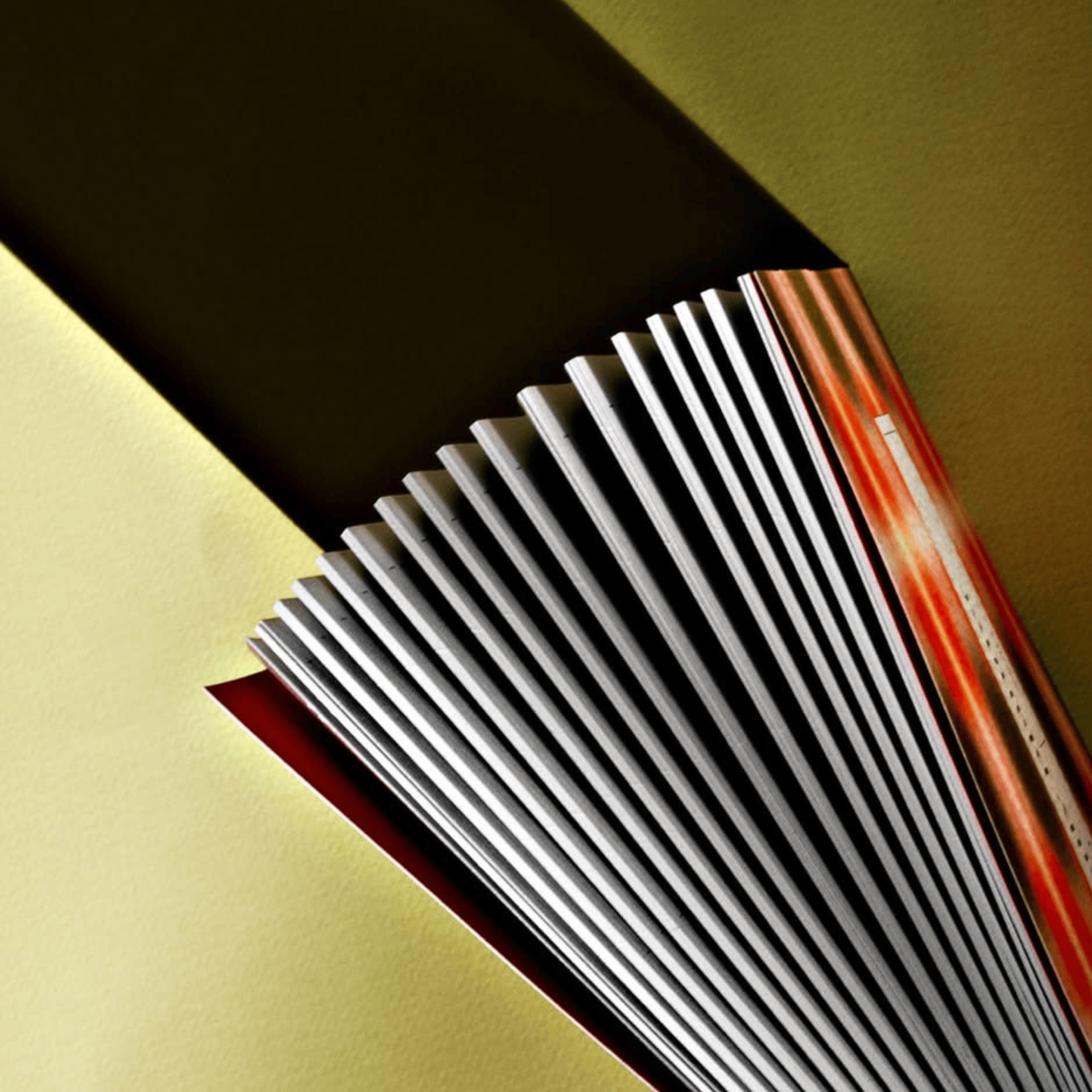 The Completist Planner Daily Planner Olivia