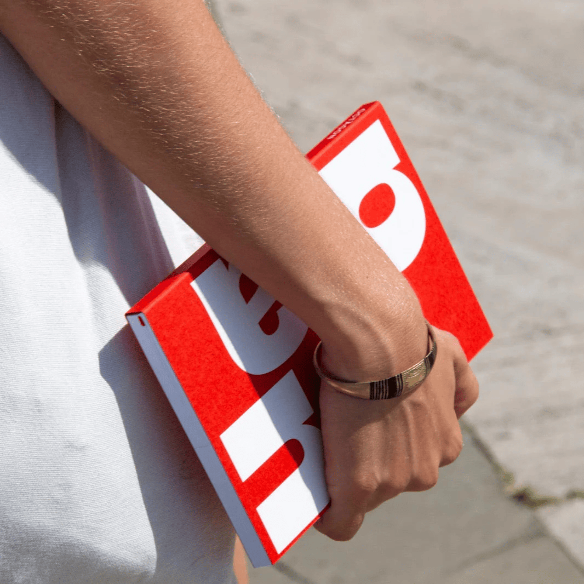 Octagon Planner Plan Book Red - Monthly