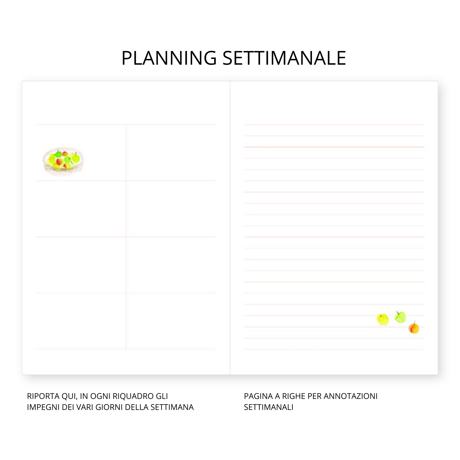 Pansydaisy Korea Planner Planner Jardin