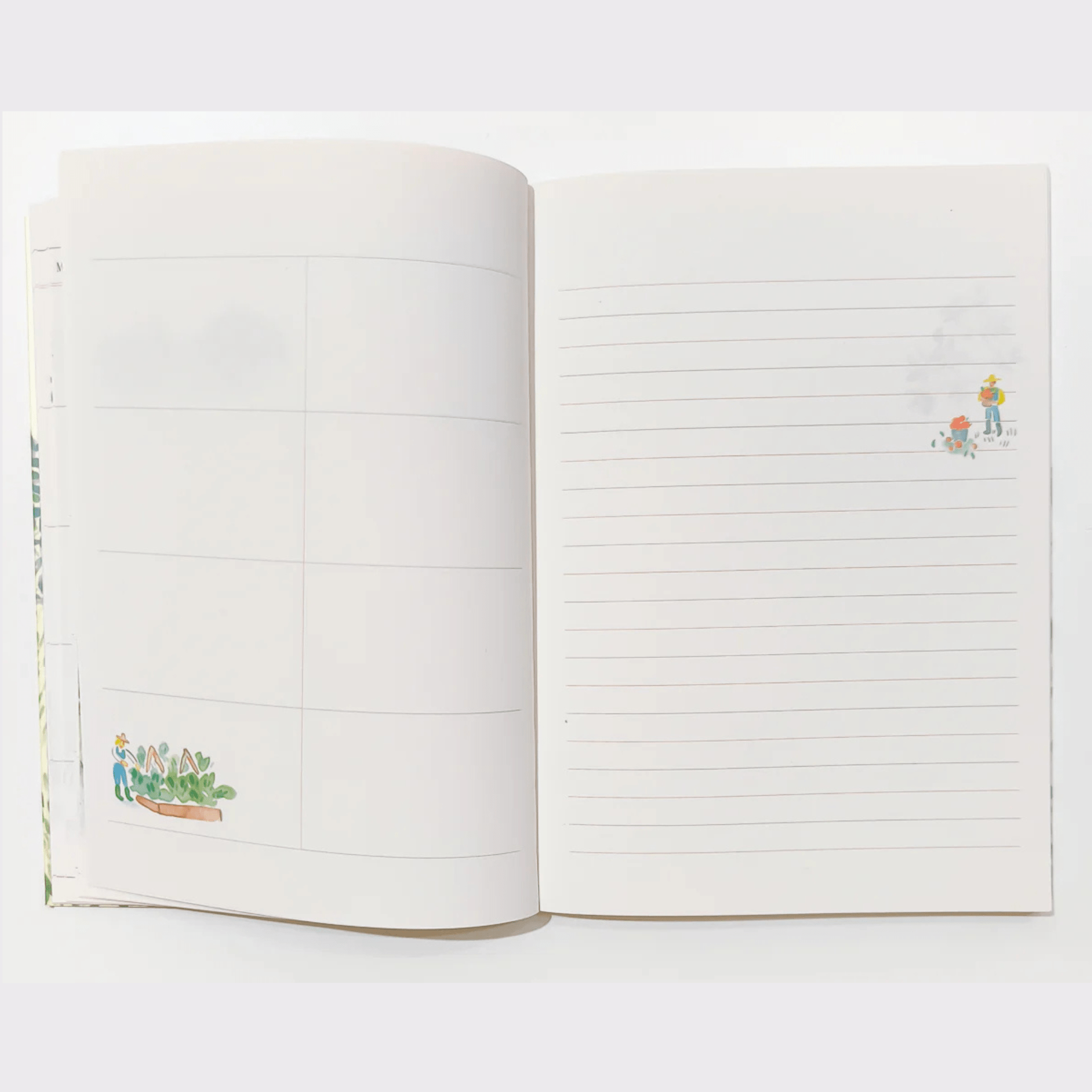 Pansydaisy Korea Planner Planner Jardin