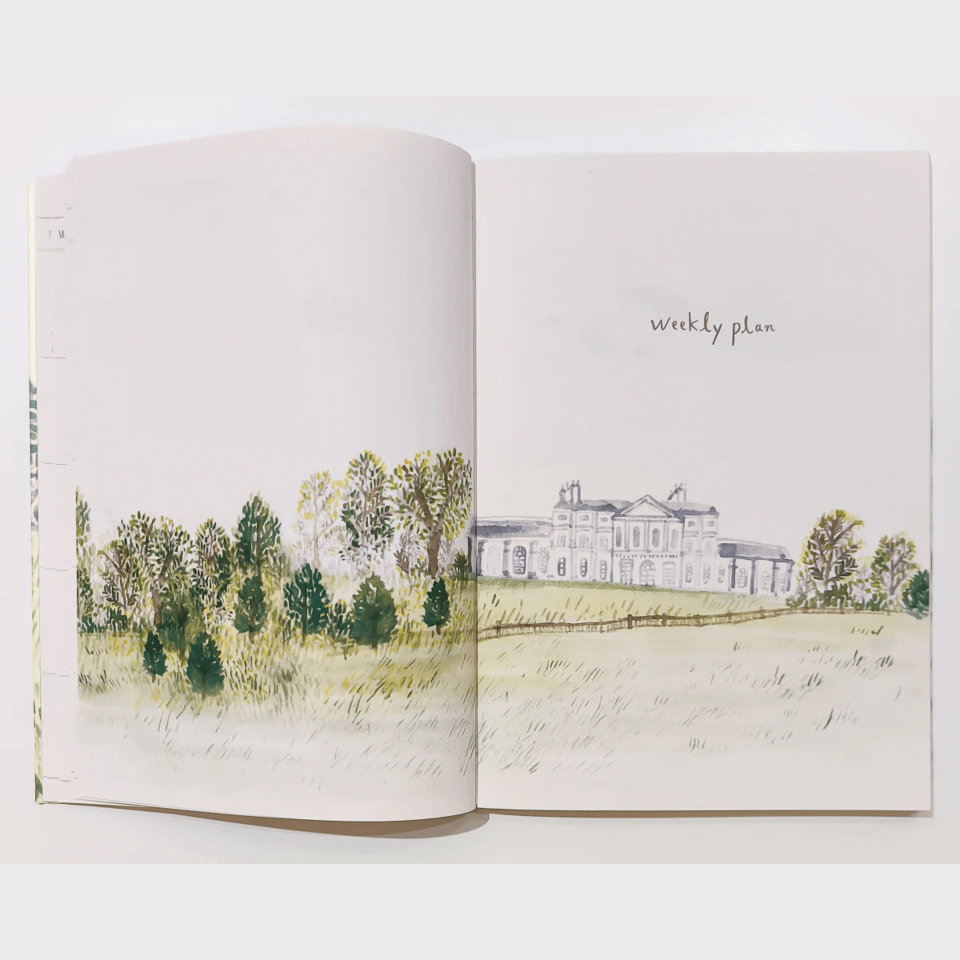 Pansydaisy Korea Planner Planner Jardin