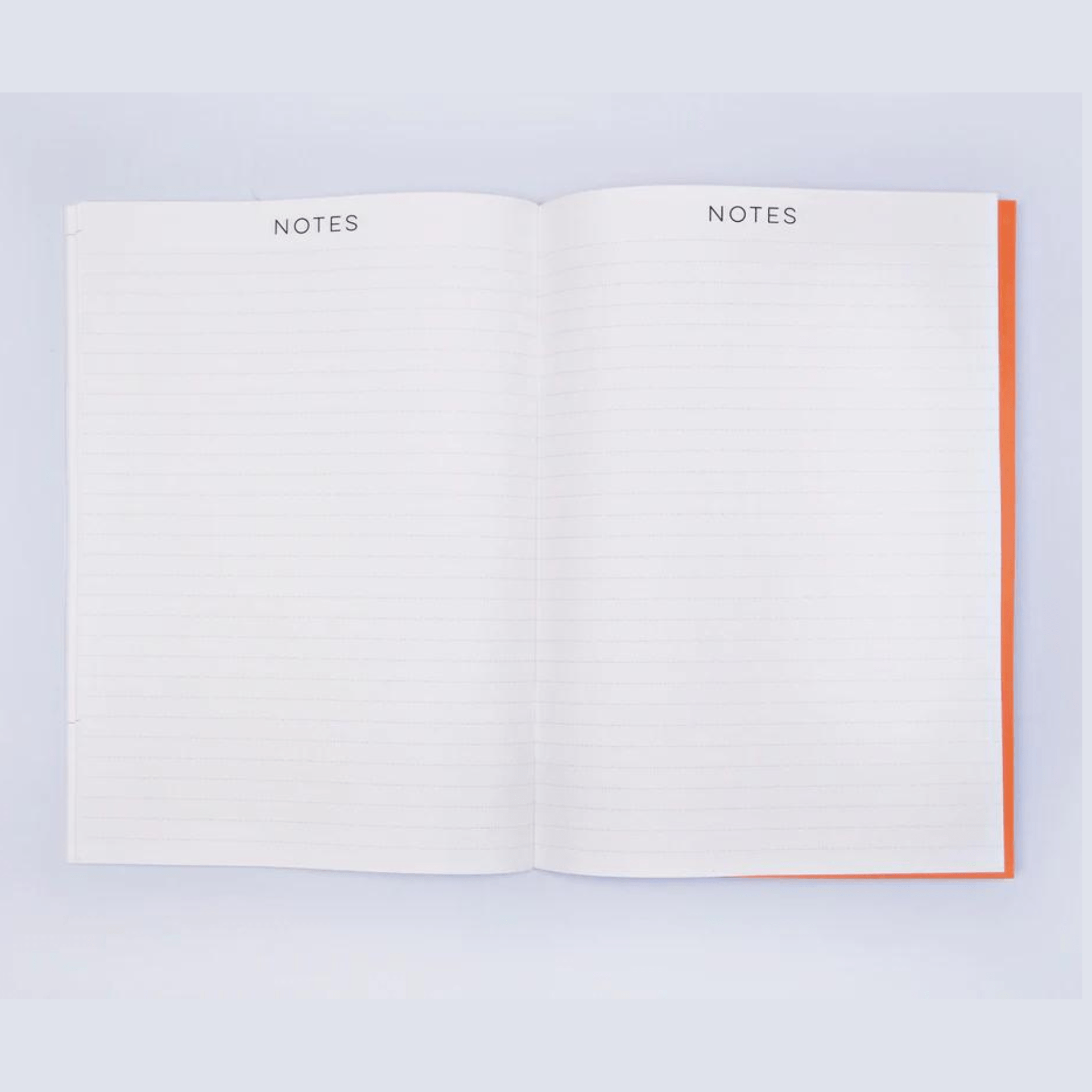 The Completist Planner Undated Agenda Book Miami Big