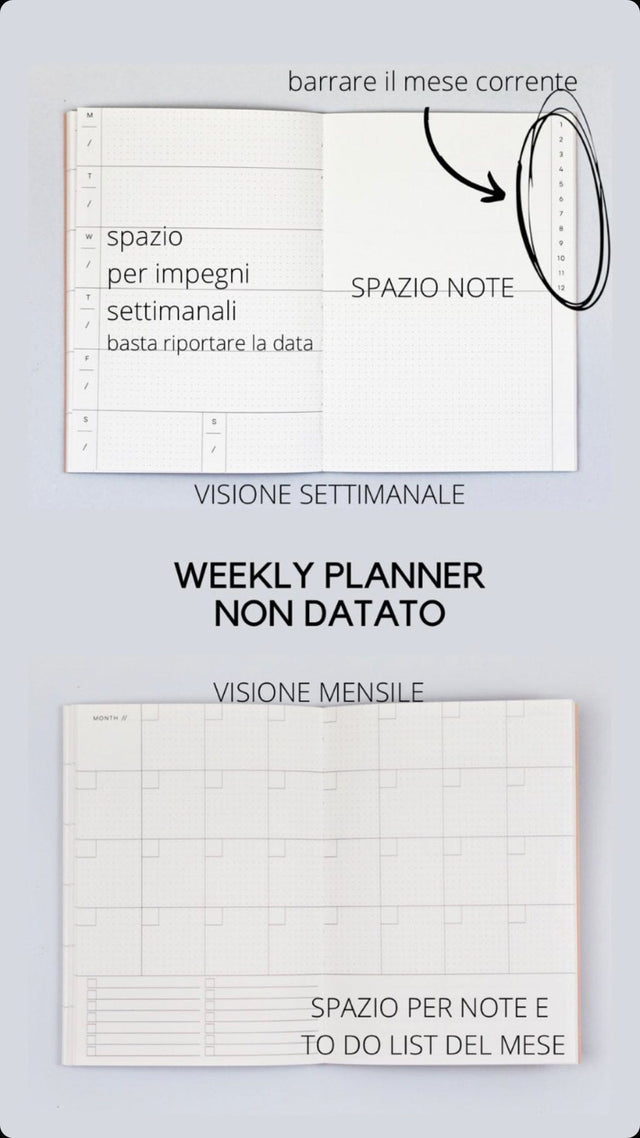 The Completist Planner Weekly Planner Capri