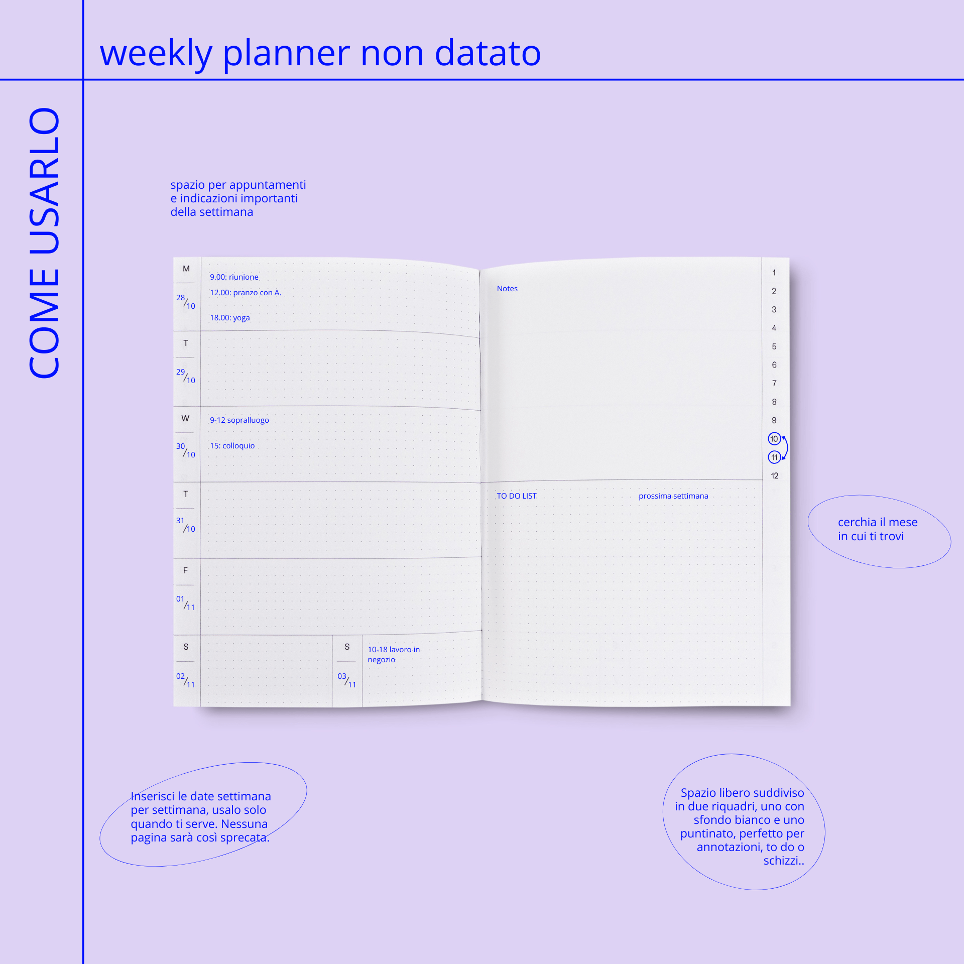 The Completist Planner Weekly Planner Casetta
