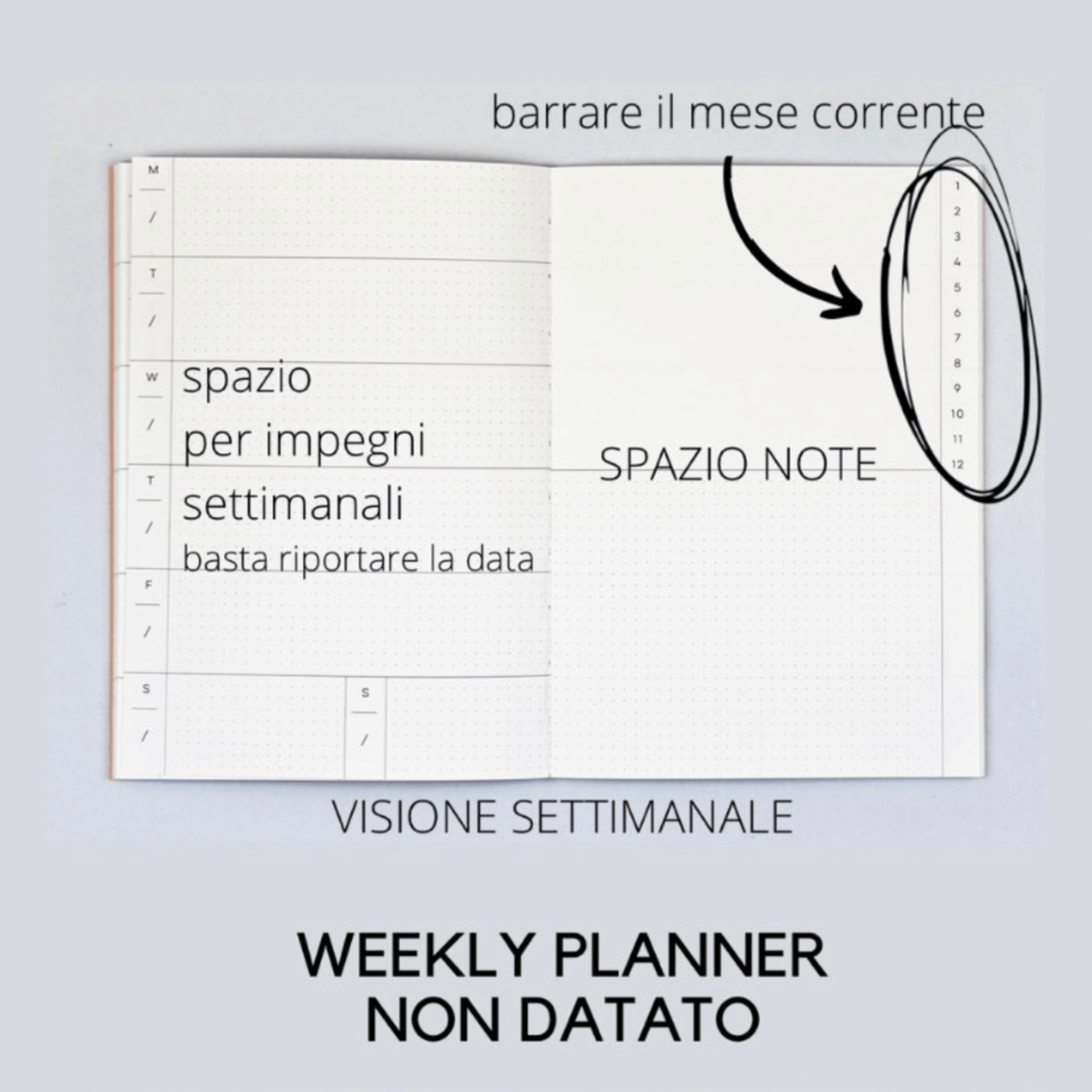 The Completist Planner Weekly Planner Palermo