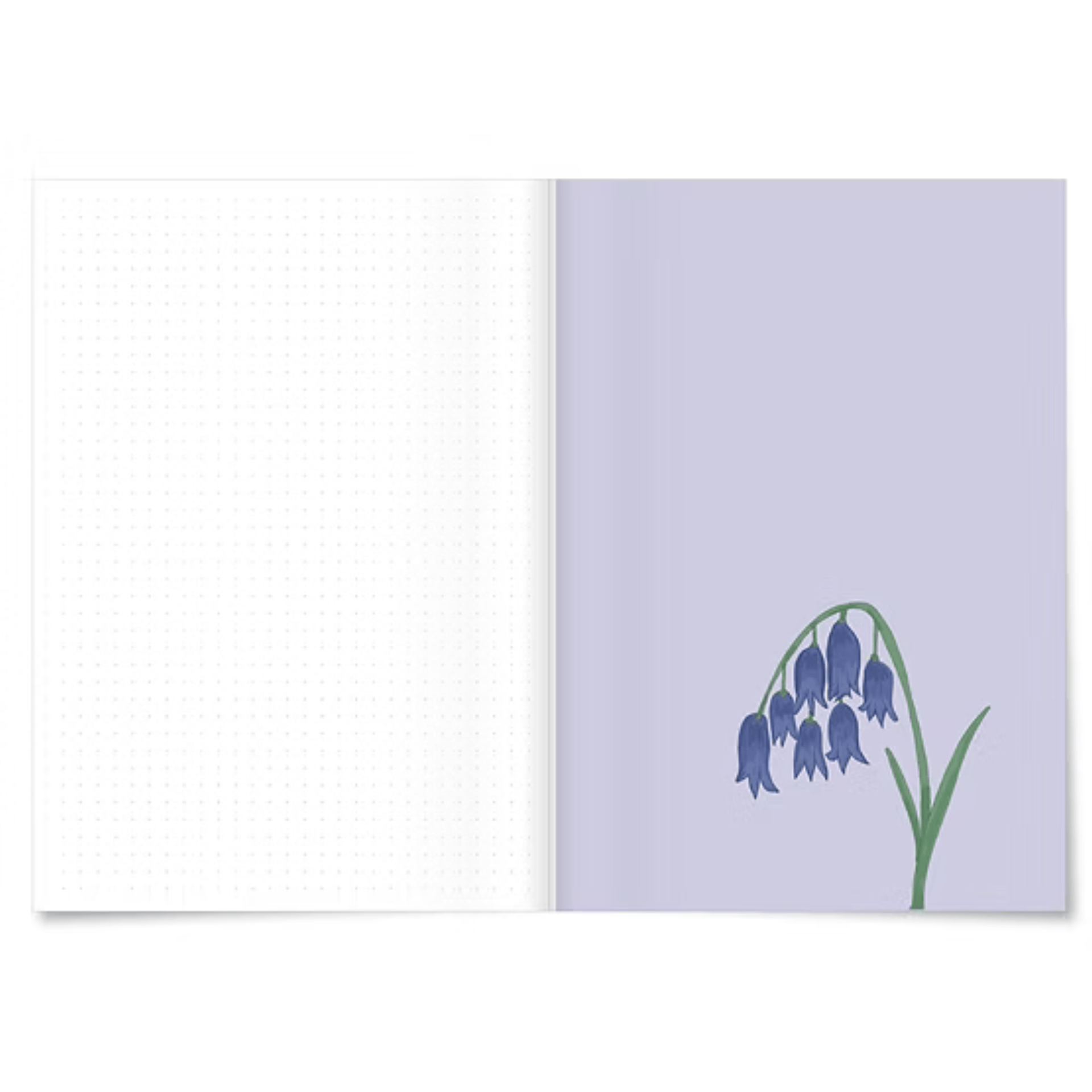 Miao Papeterie Quaderni Apple Notebook - Ochre Stripes