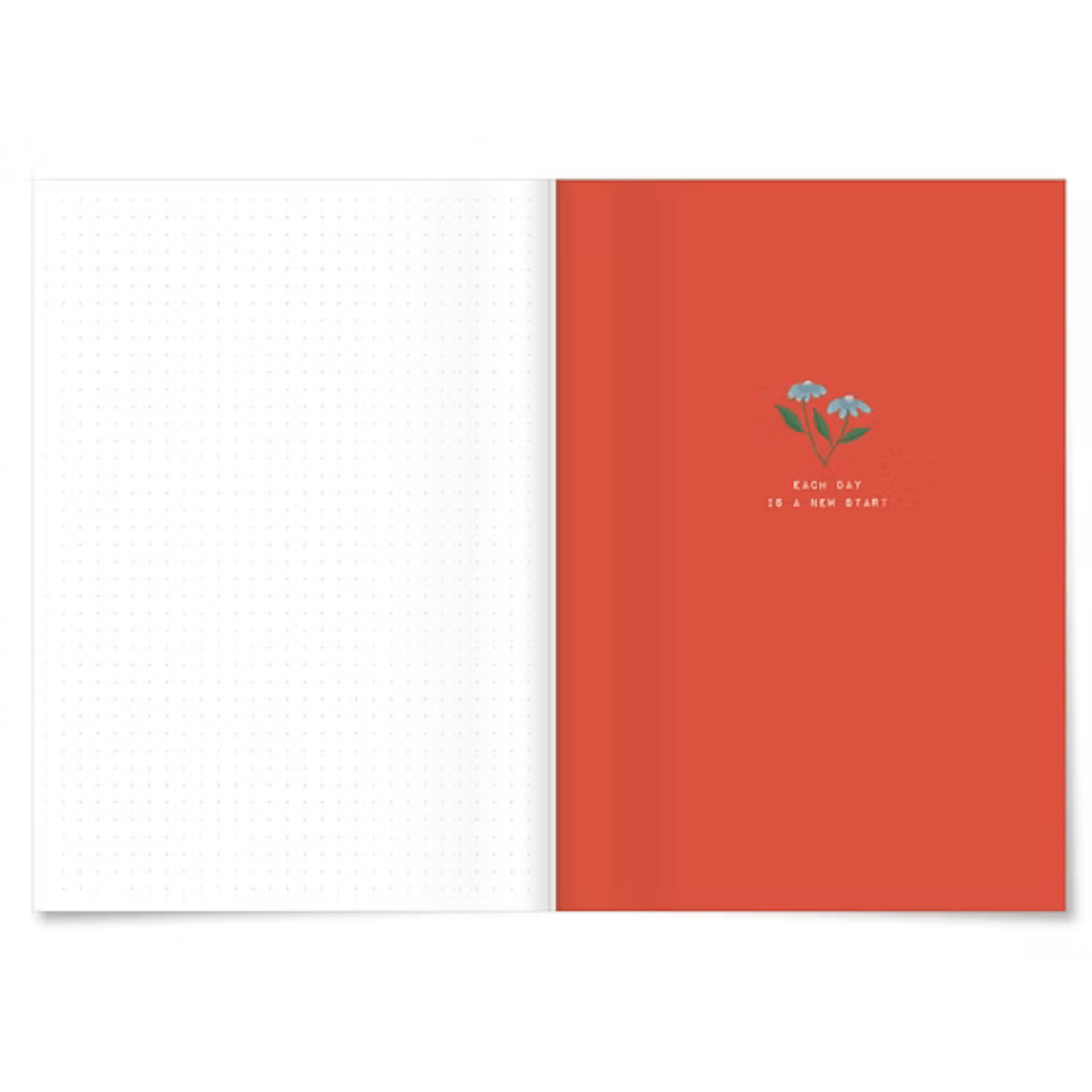 Miao Papeterie Quaderni Apple Notebook - Stripes