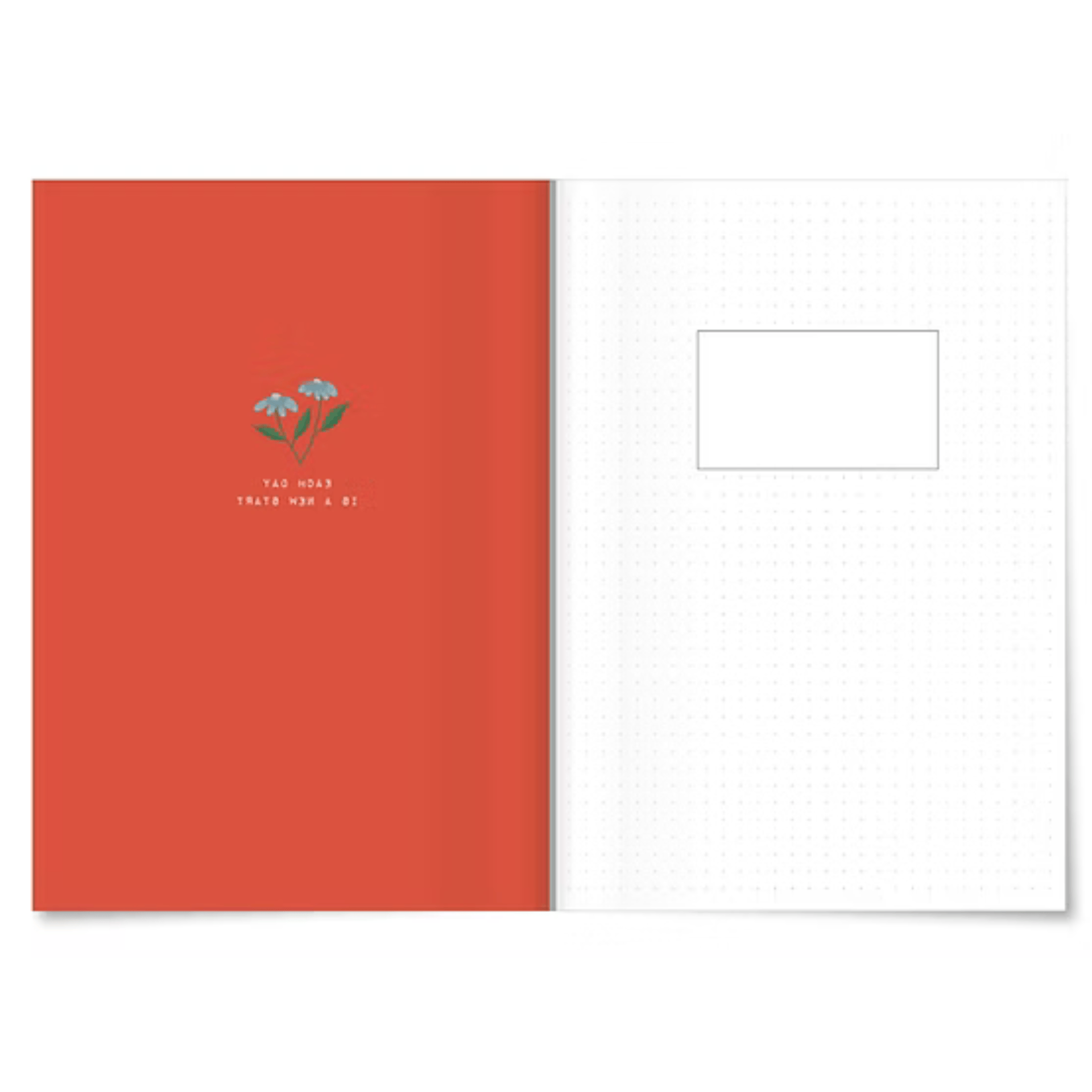 Miao Papeterie Quaderni Apple Notebook - Stripes