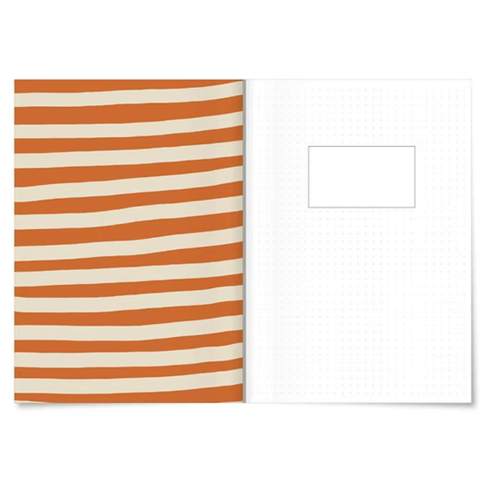 Miao Papeterie Quaderni Apple Notebook - Swim