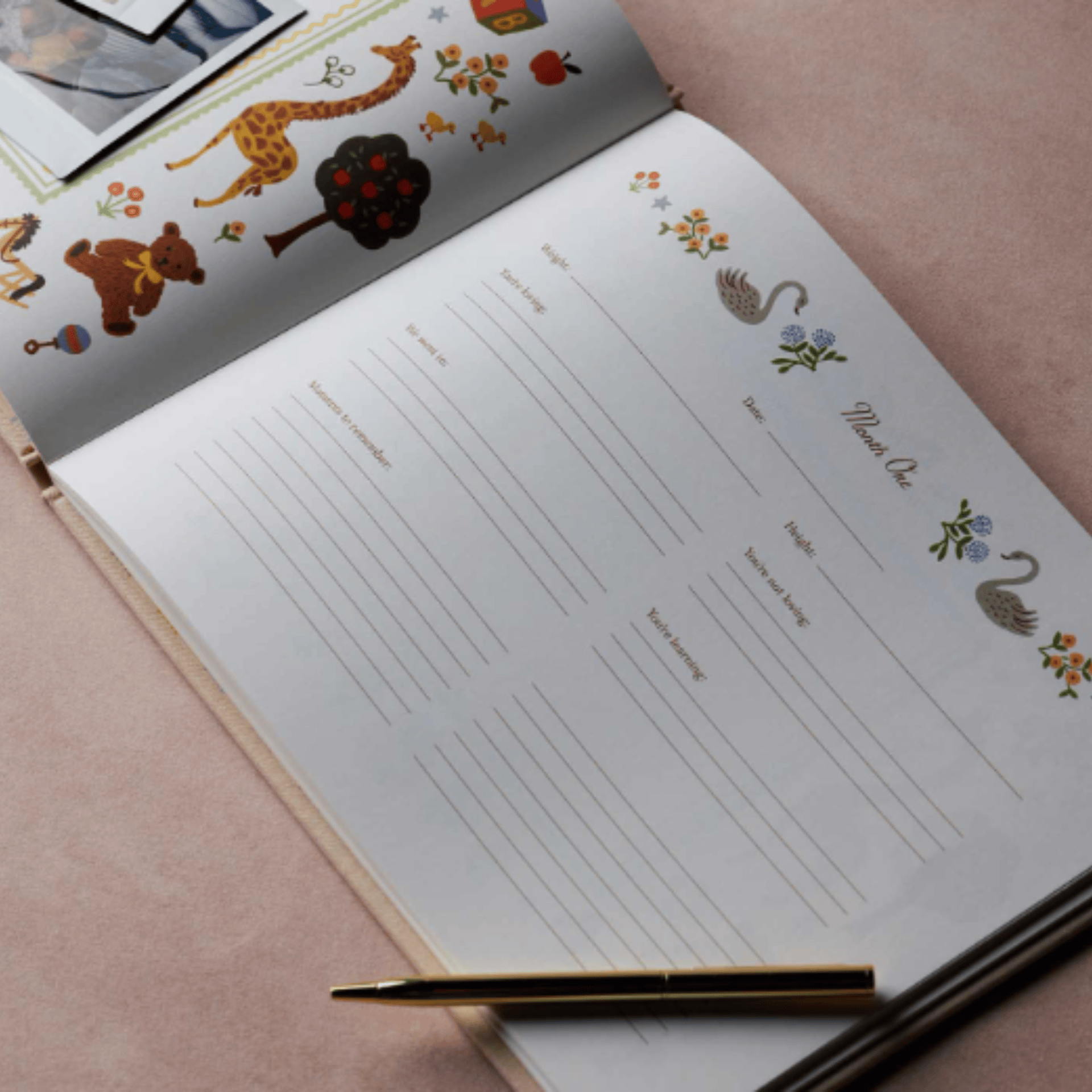 Rifle Paper Quaderni Baby Memory Book