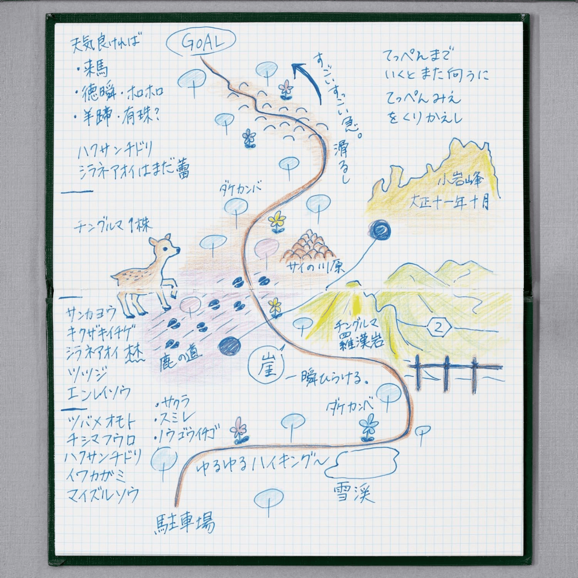 KOKUYO Quaderni Field Notebook -  3mm grid
