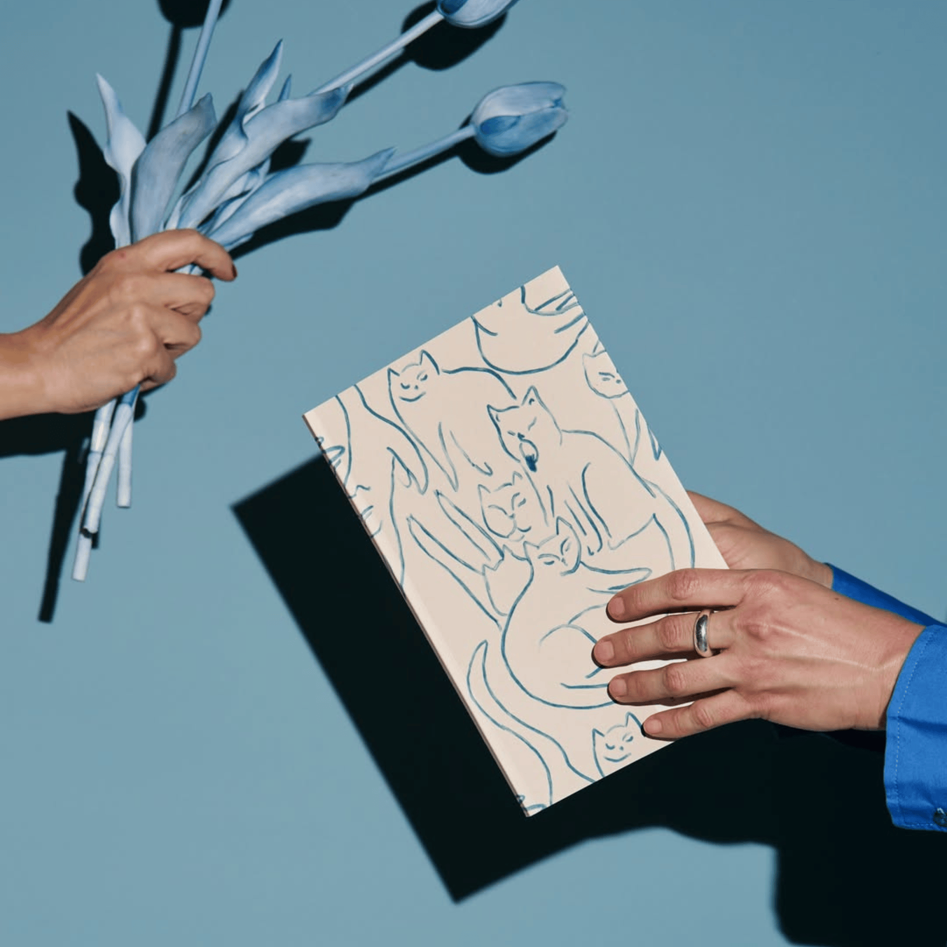 Season Paper Quaderni Journal Paresse