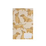 Season Paper Quaderni Journal Teckels