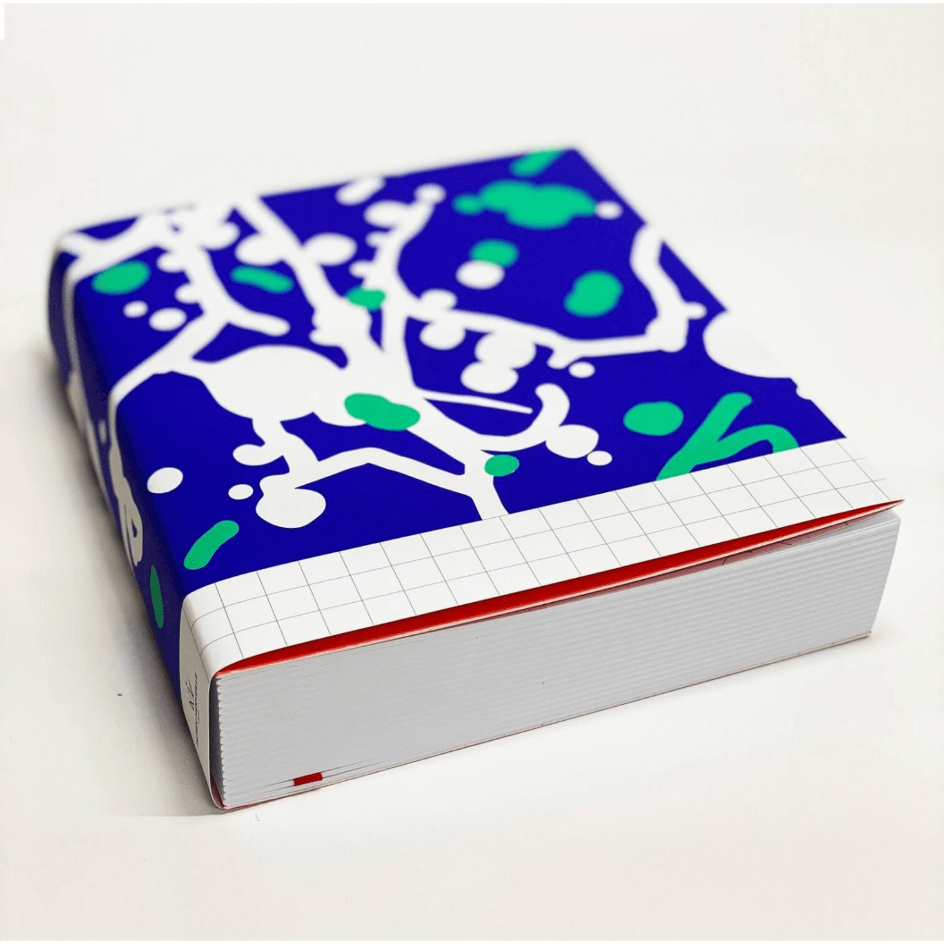 Papier Merveille Quaderni Le Book Pollock