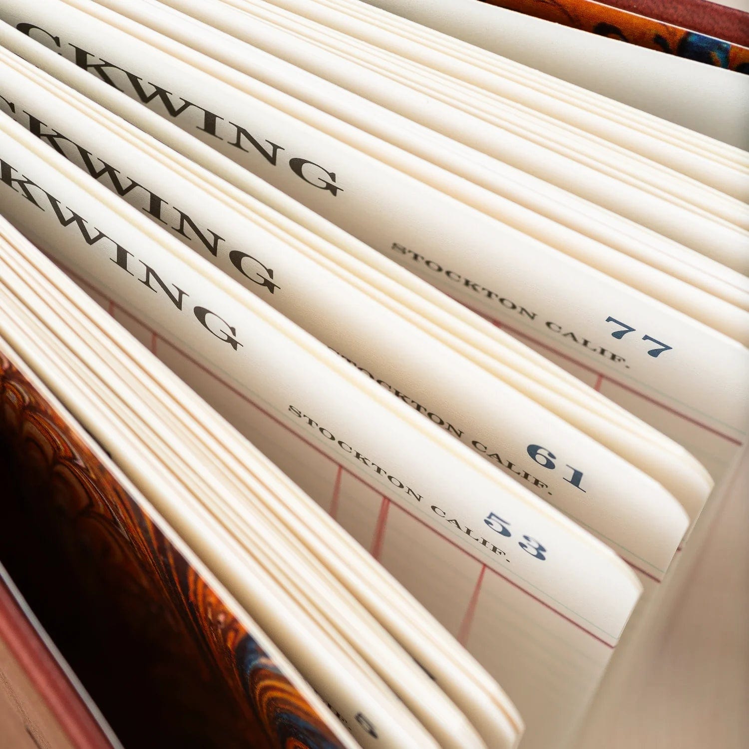 Blackwing Quaderni Ledger Notebook Edizione Limitata Vol.574