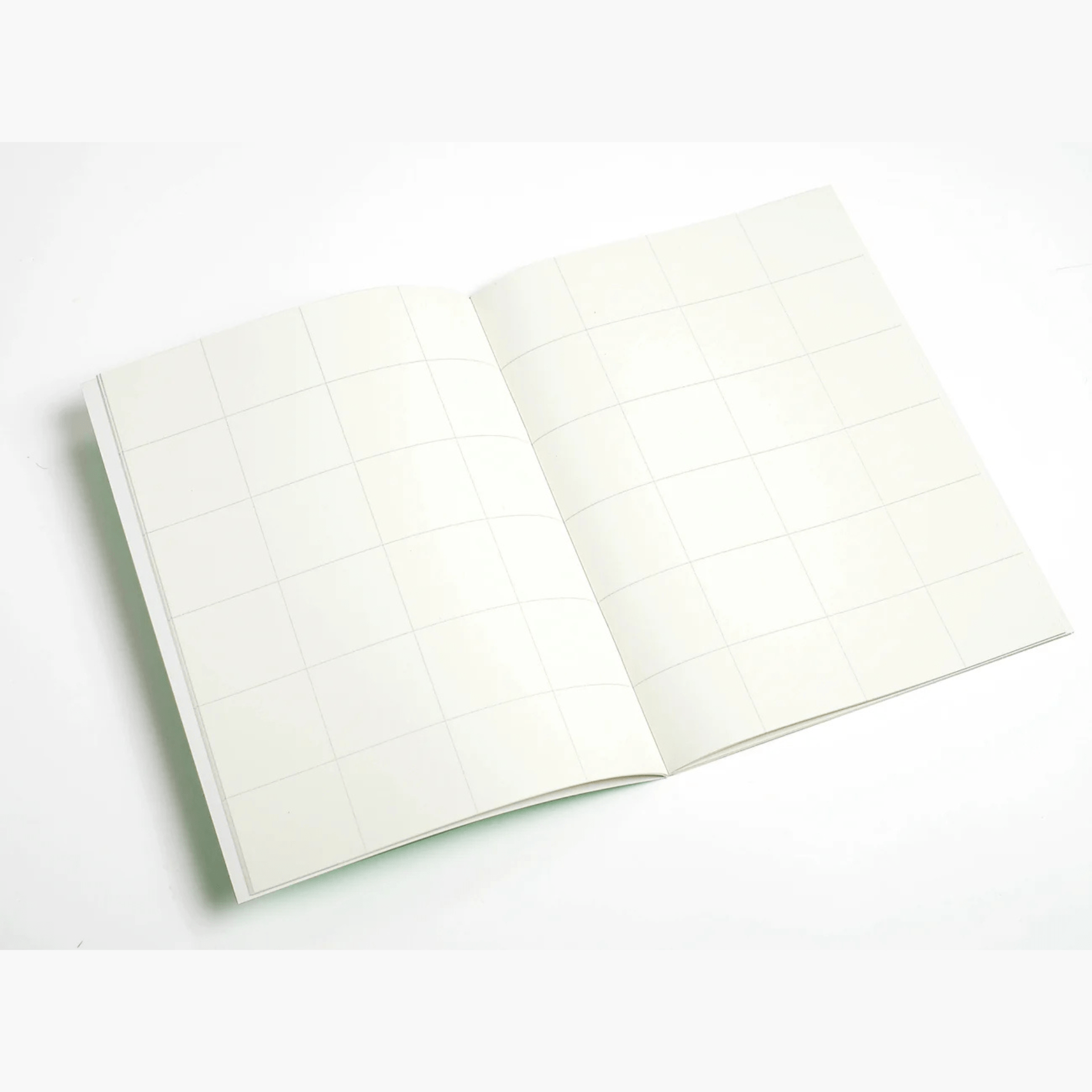 Edition Julie Joliat Quaderni Notebook double side Booq - green & brown