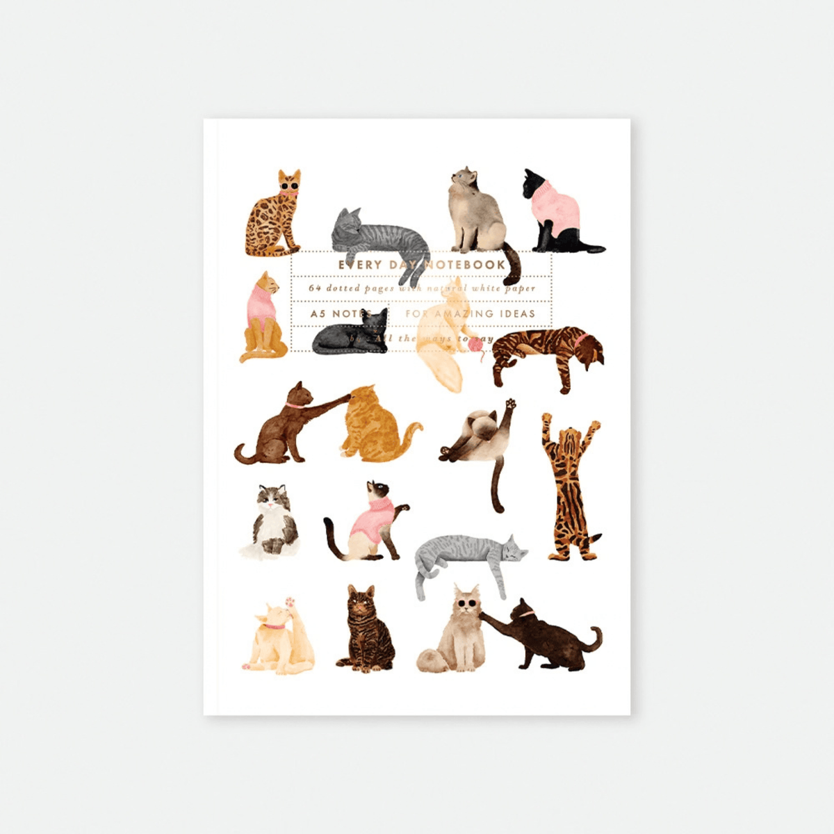 All The Way To Say Quaderni Quaderno Meow