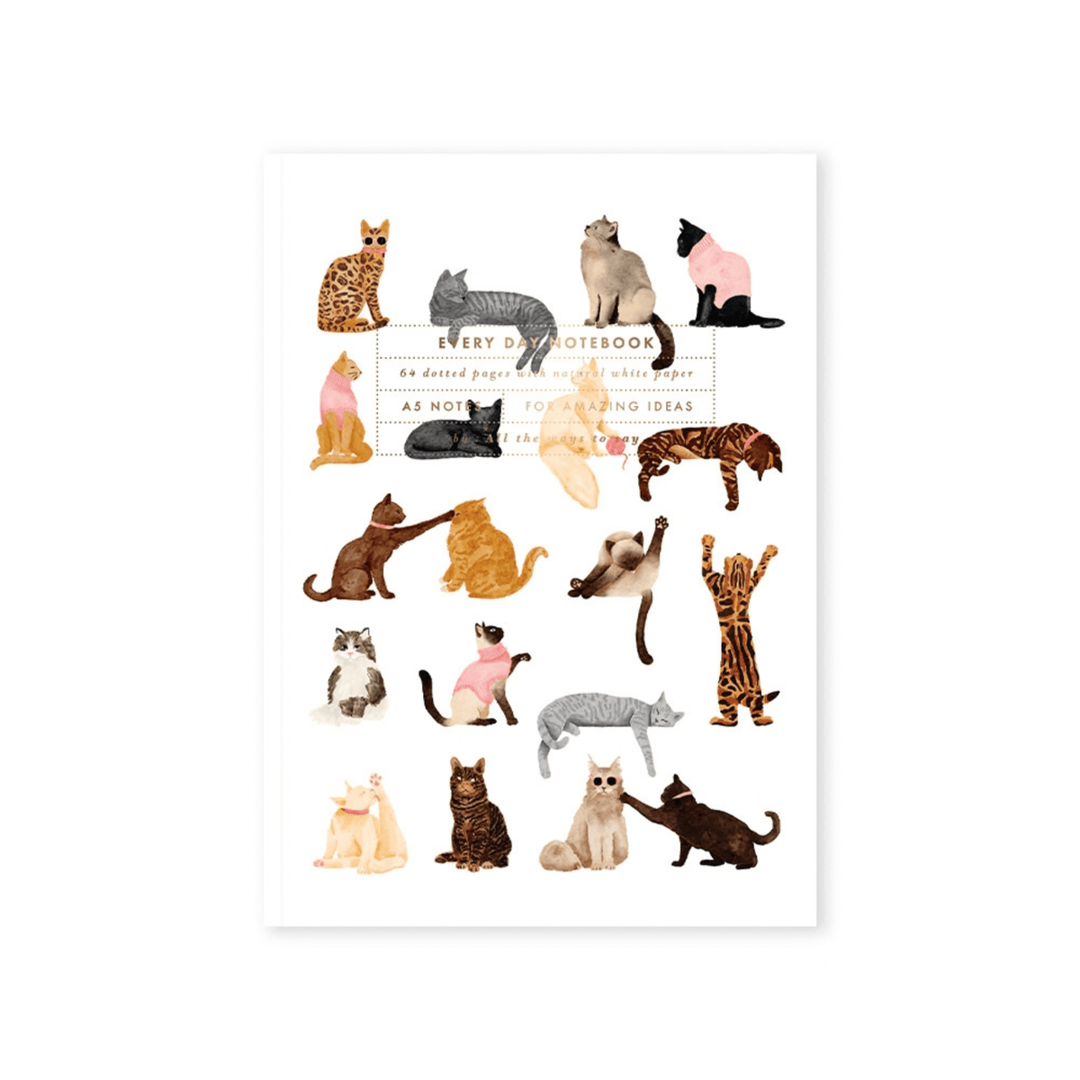 All The Way To Say Quaderni Quaderno Meow