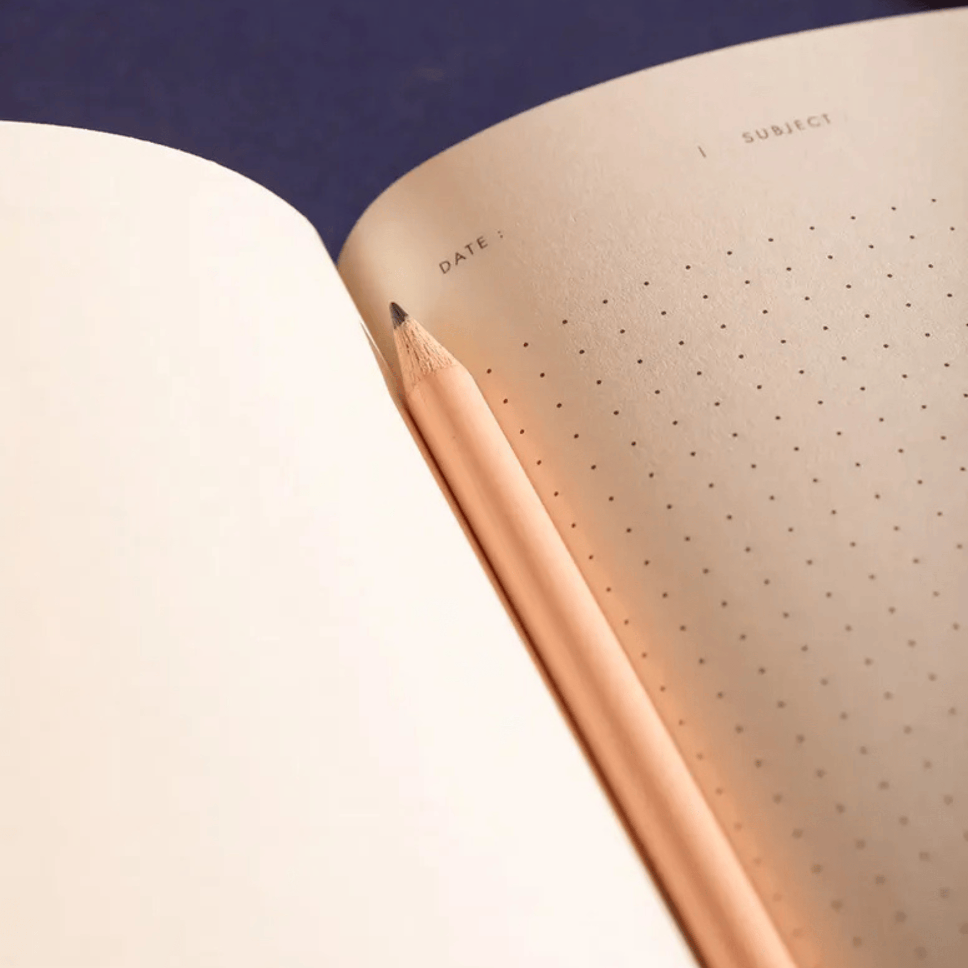 All The Way To Say Quaderni Quaderno Pink Croco