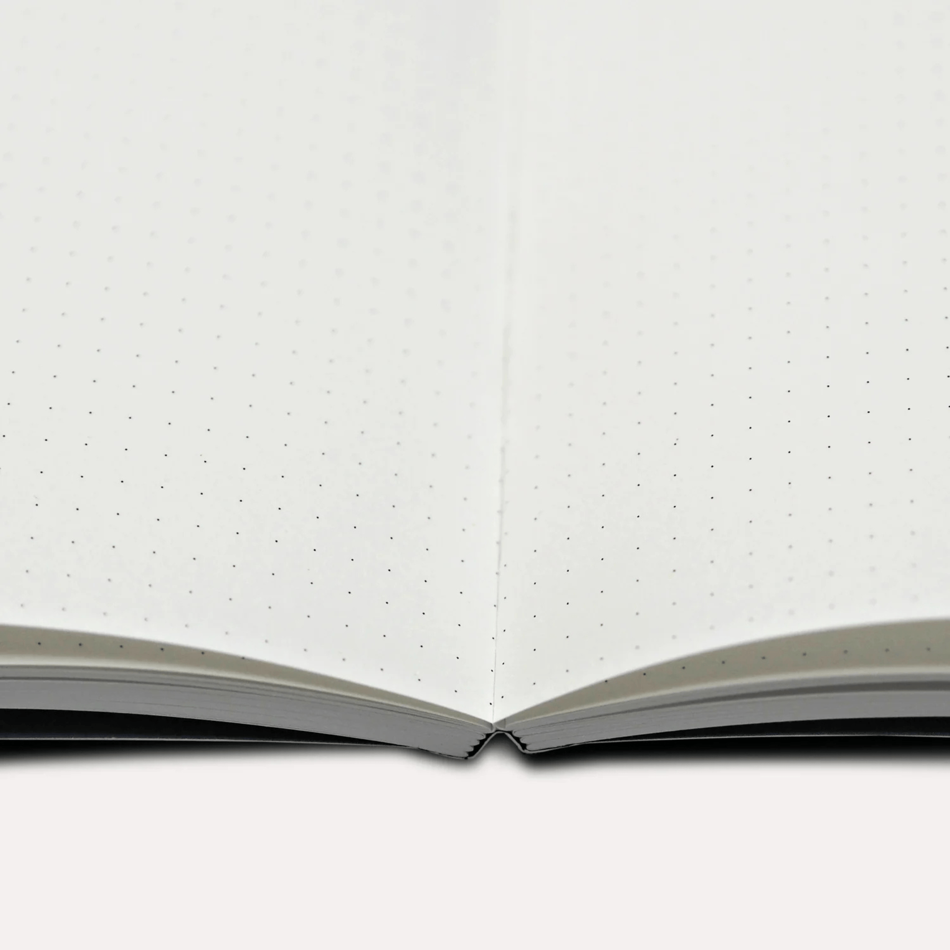 The Completist Quaderni Quaderno Signal Flatlay