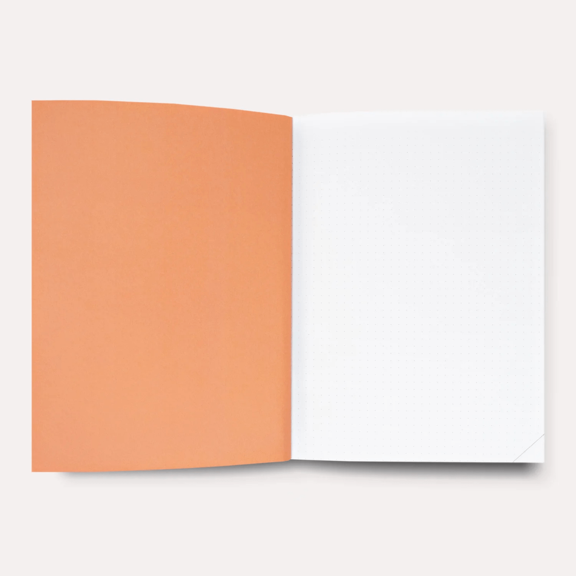 The Completist Quaderni Quaderno Signal Flatlay