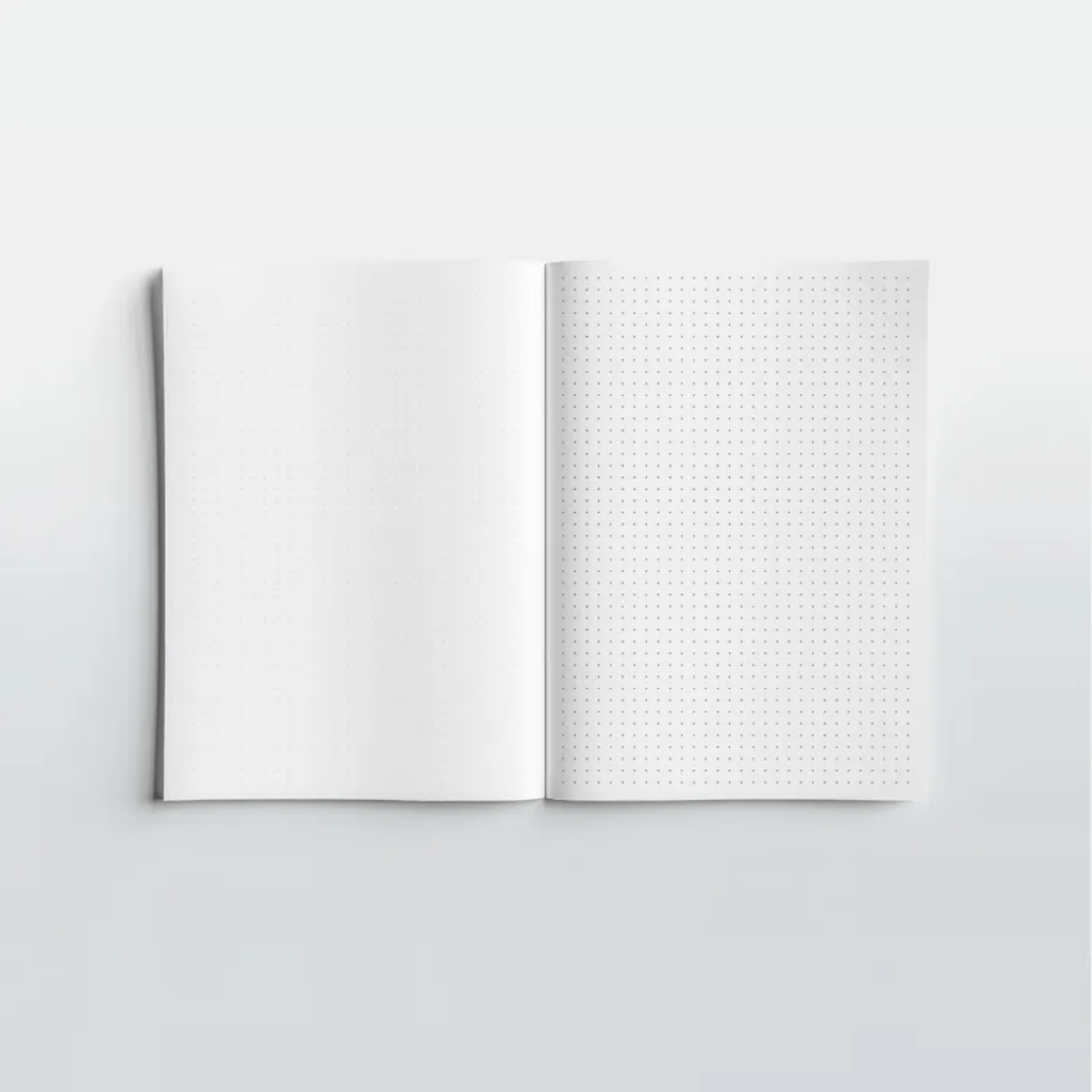 All The Way To Say Quaderni Quaderno Without Humans