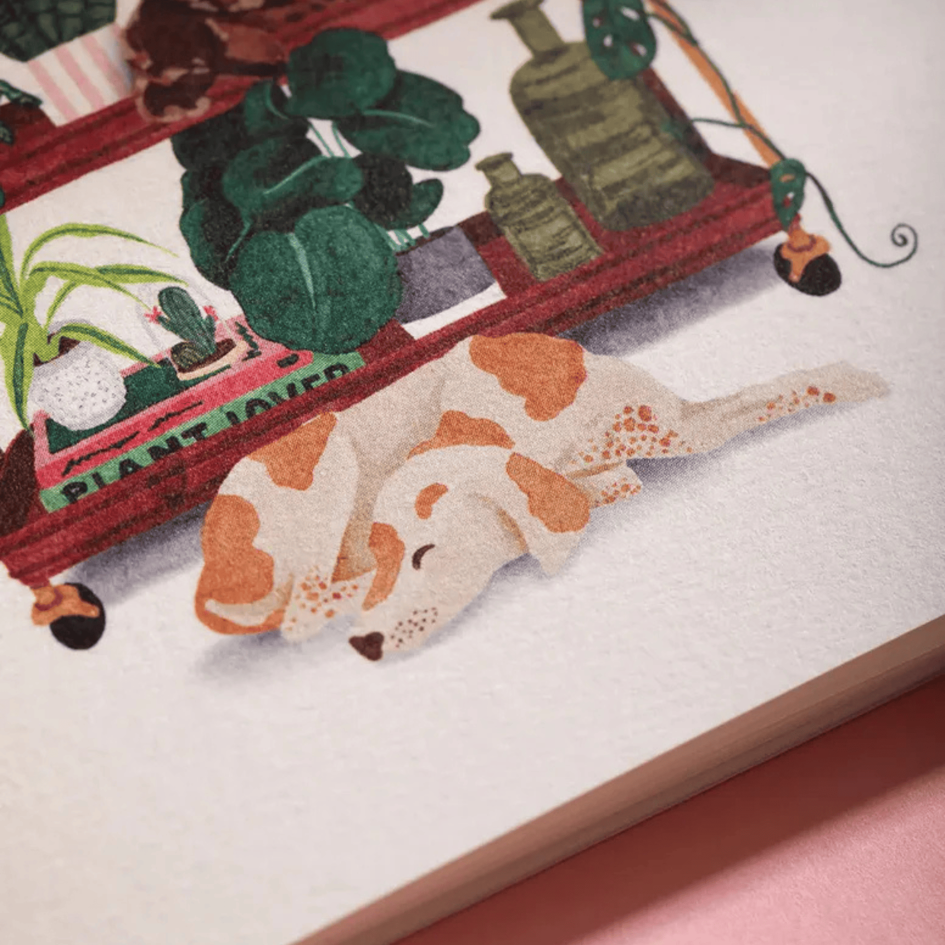 All The Way To Say Quaderni Set di Quaderni Life with Pets & Plants