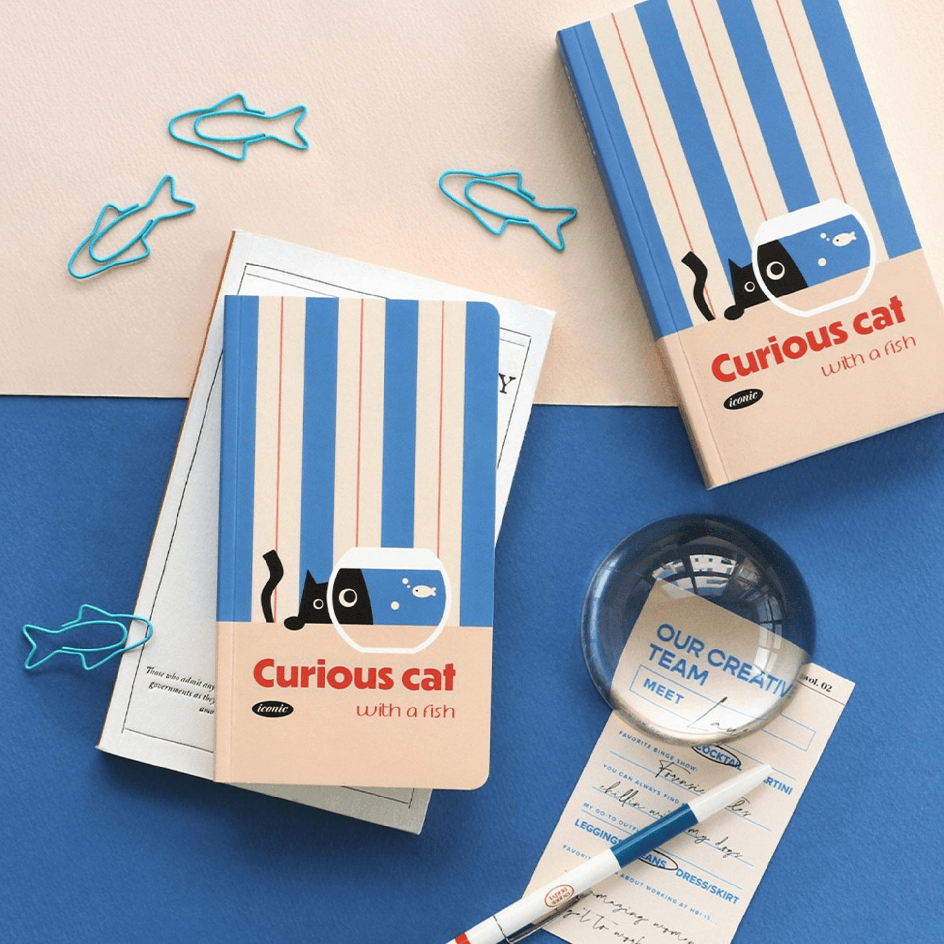 Iconic Quaderni Slow Handy Notebook - Curious Cat