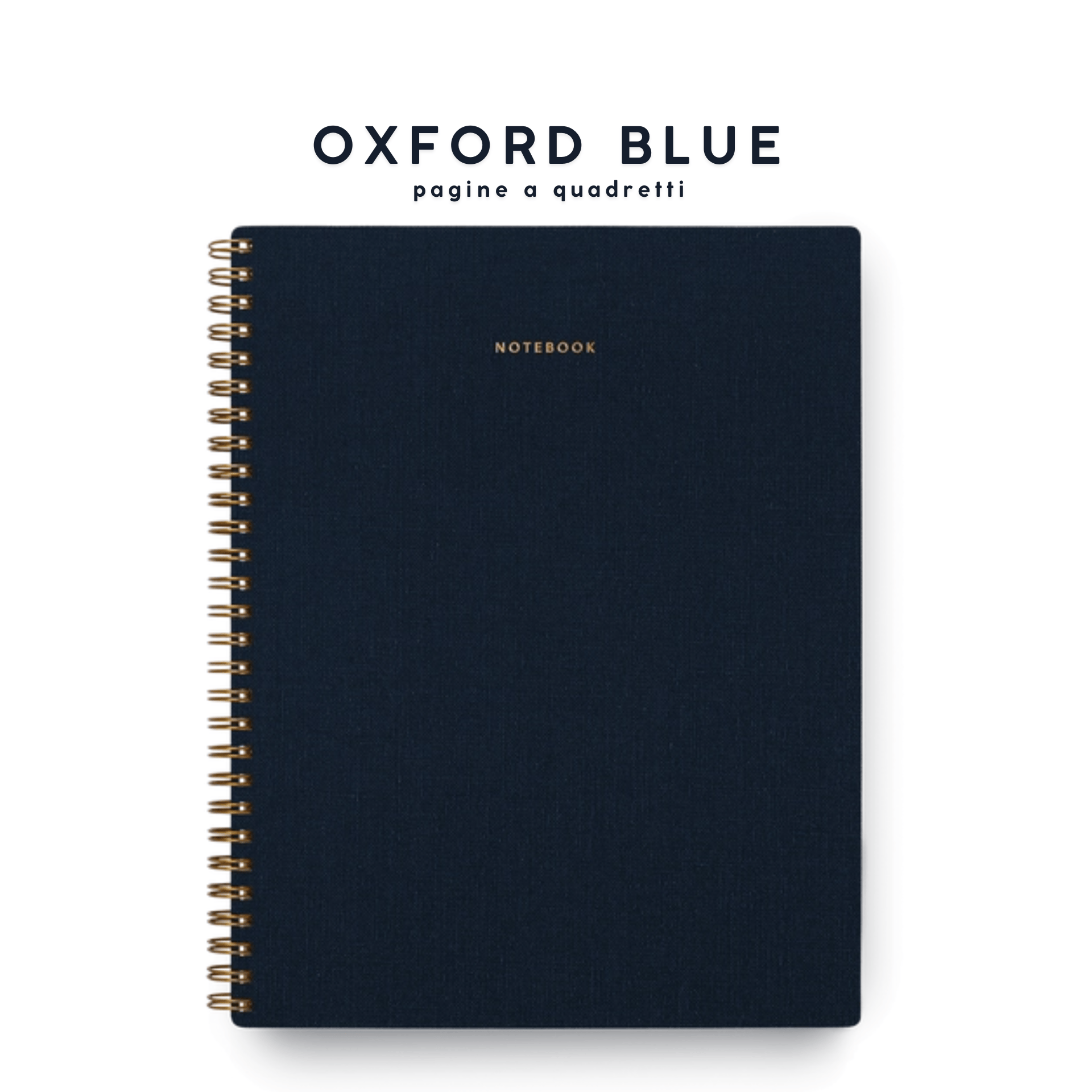 Appointed Quaderni OXFORD BLUE - PAGINE A QUADRETTI Three Subject Notebook